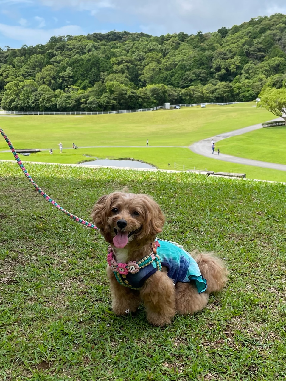 プリンちゃん♀ プリンちゃん♀
