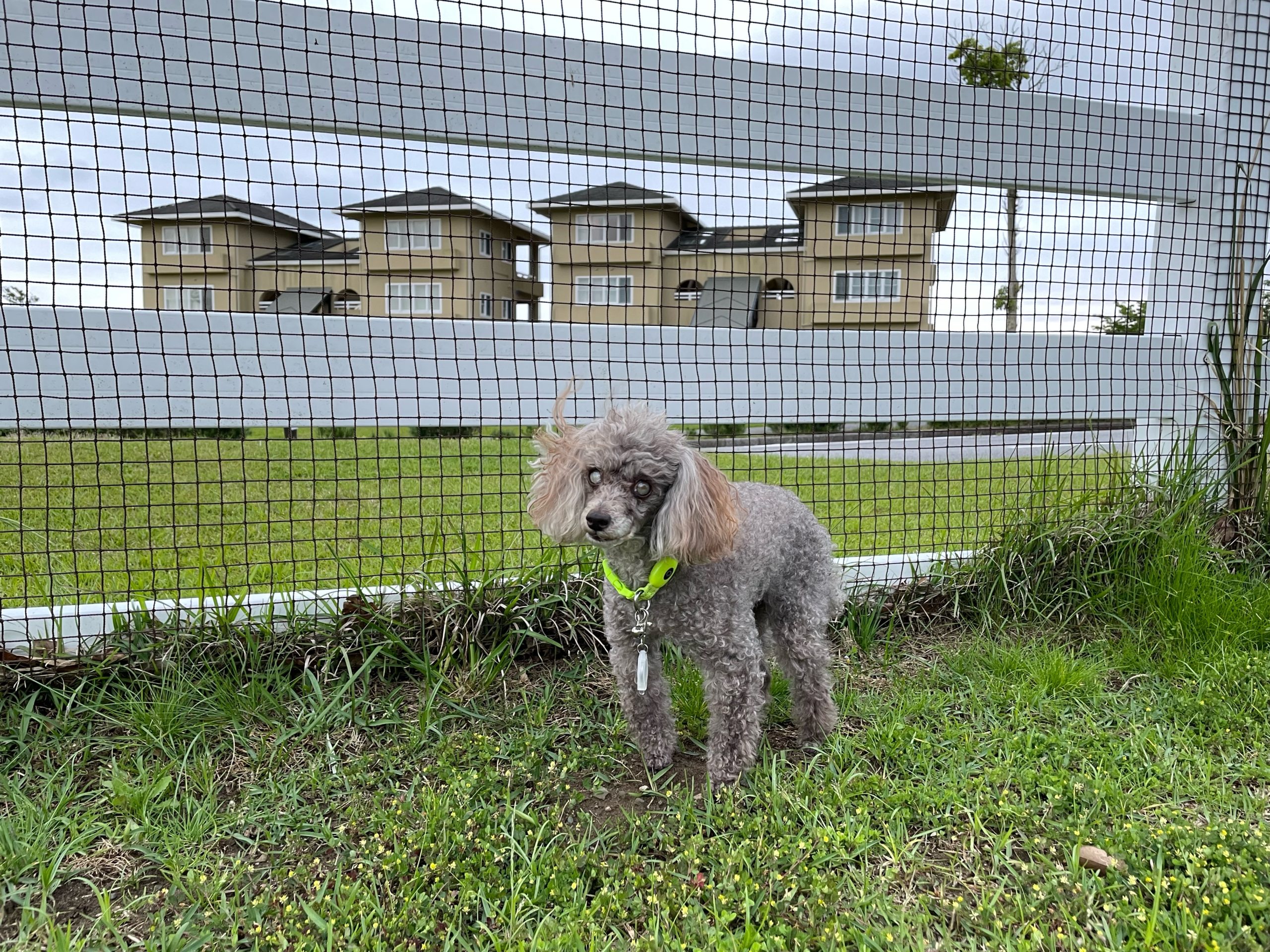 キアラちゃん ♀ キアラちゃん ♀