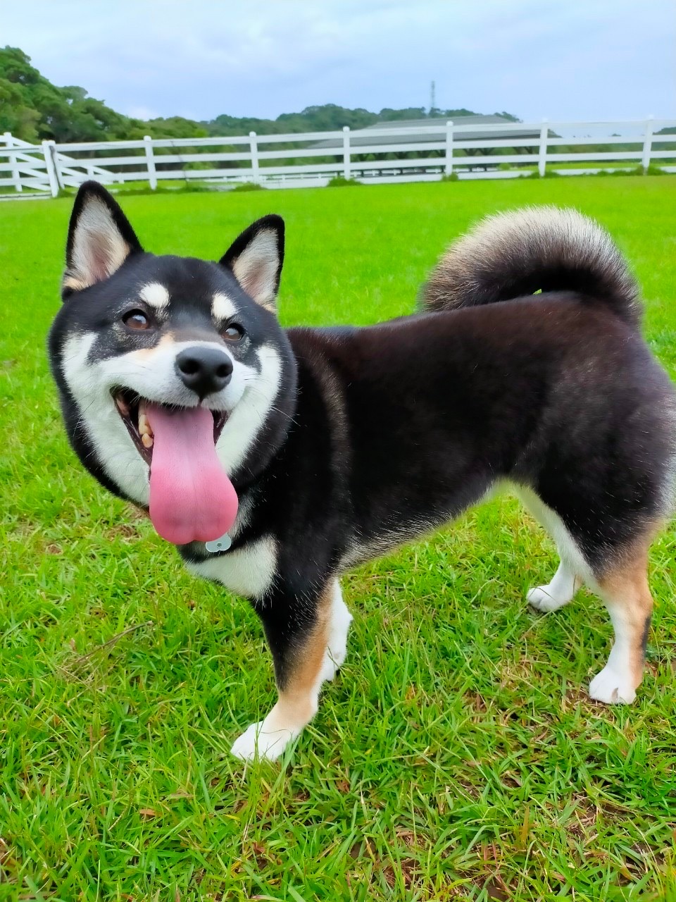 チーズちゃん♀ チーズちゃん♀