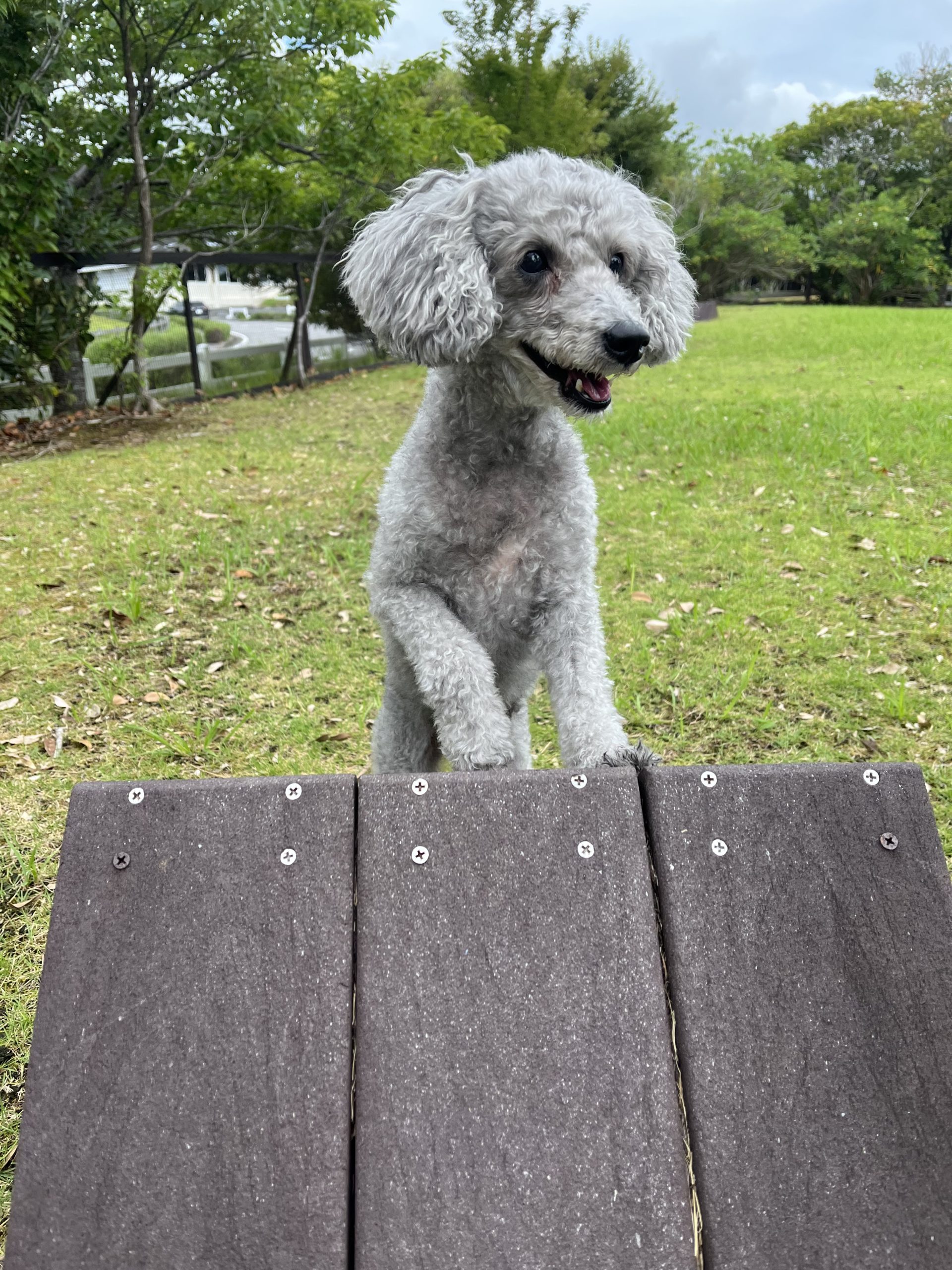 マリンちゃん♀ マリンちゃん♀