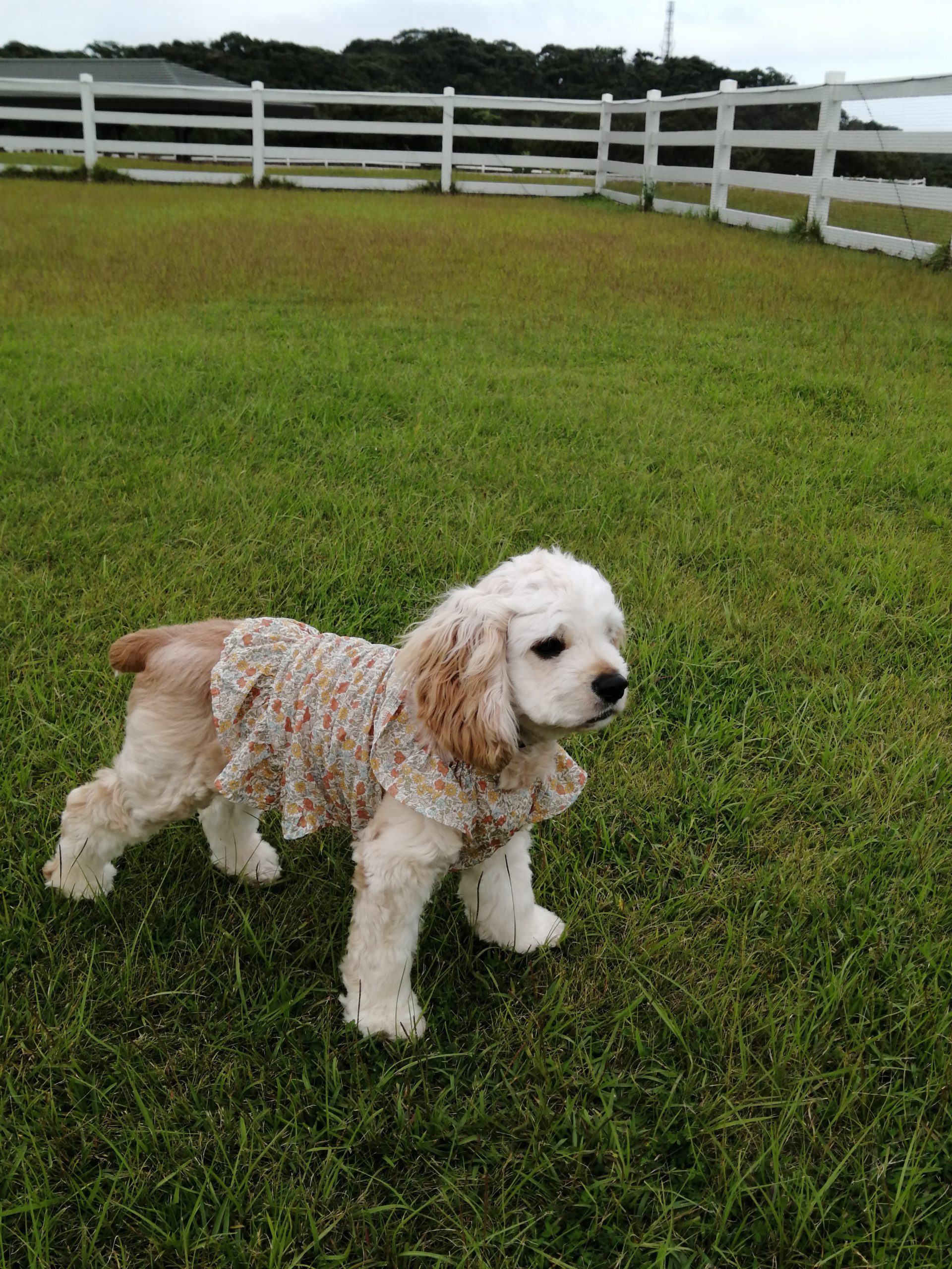 エマちゃん♀ エマちゃん♀