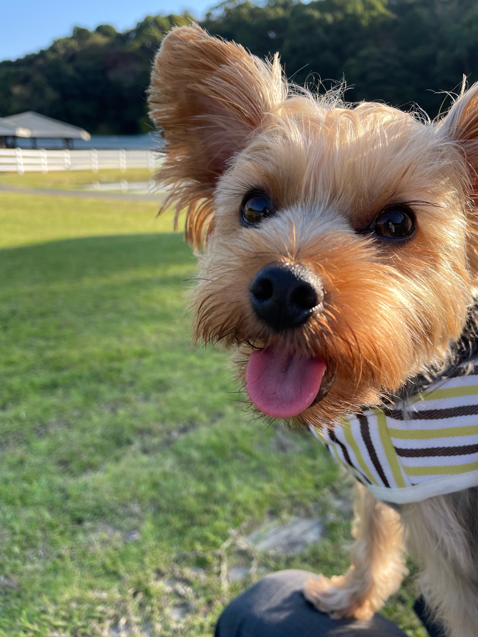 ダンくん♂ ダンくん♂