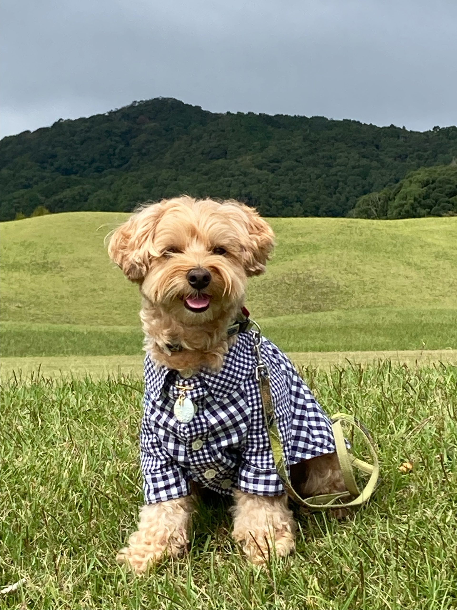 ハコちゃん♀ ハコちゃん♀