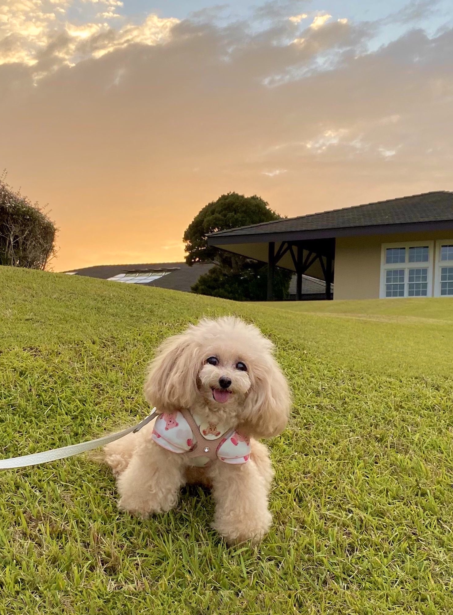 Marieちゃん♀ Marieちゃん♀