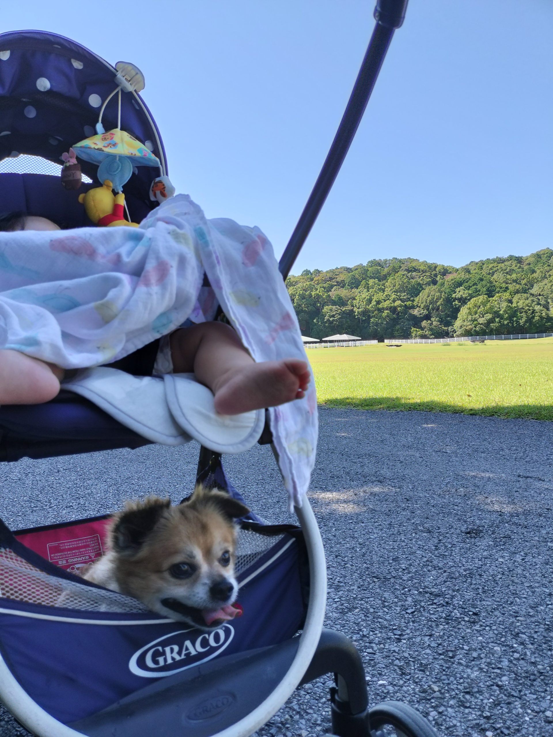 レオくん♂ レオくん♂