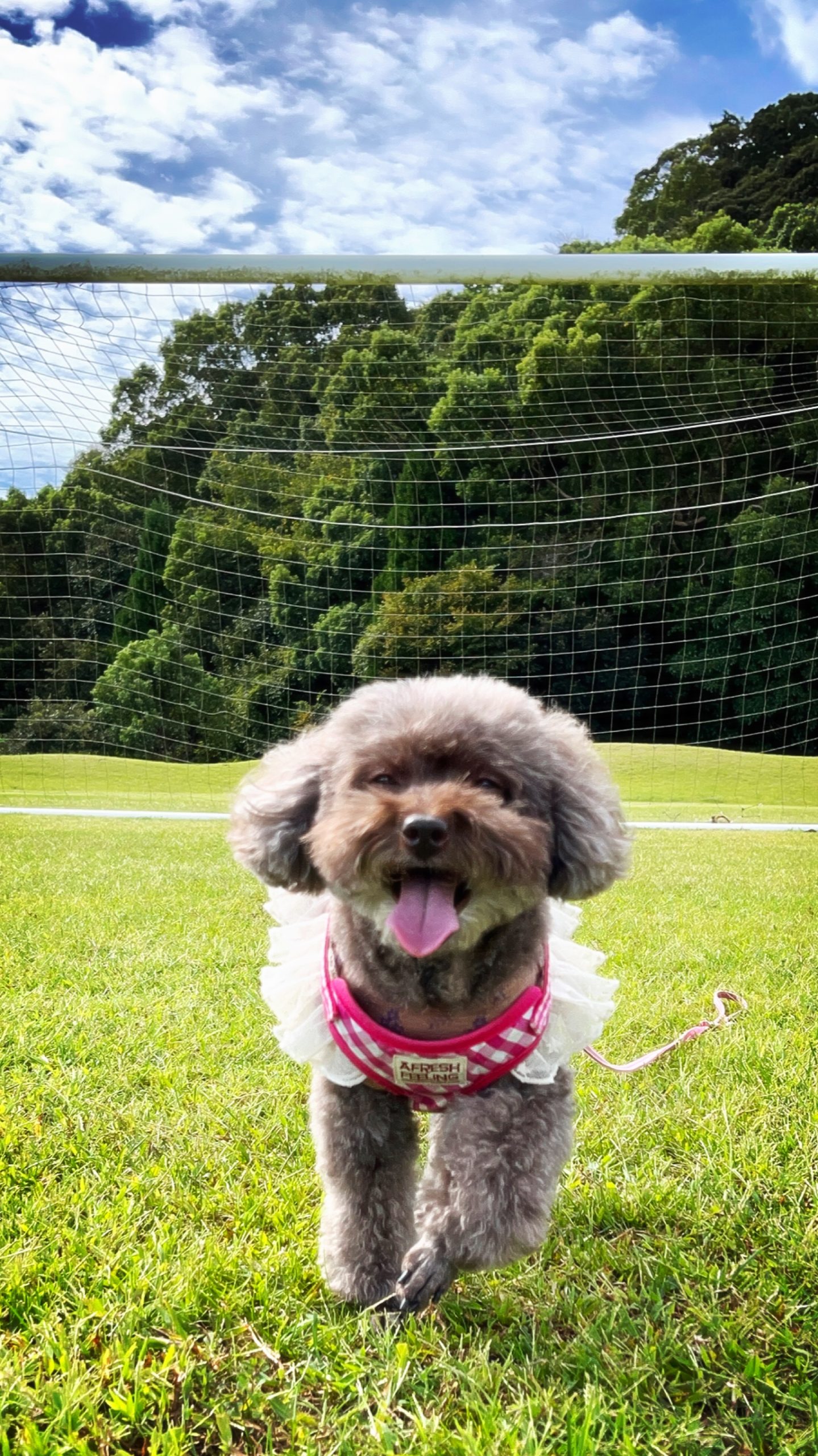 ももちゃん♀ ももちゃん♀