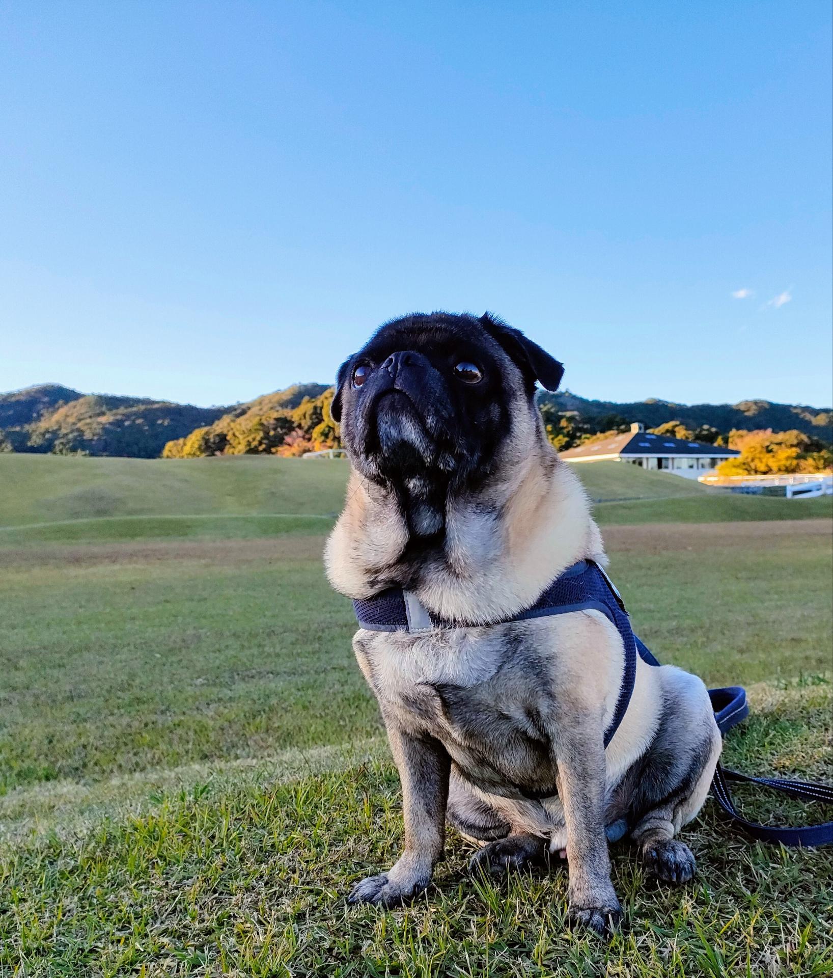 タロウくん♂ タロウくん♂