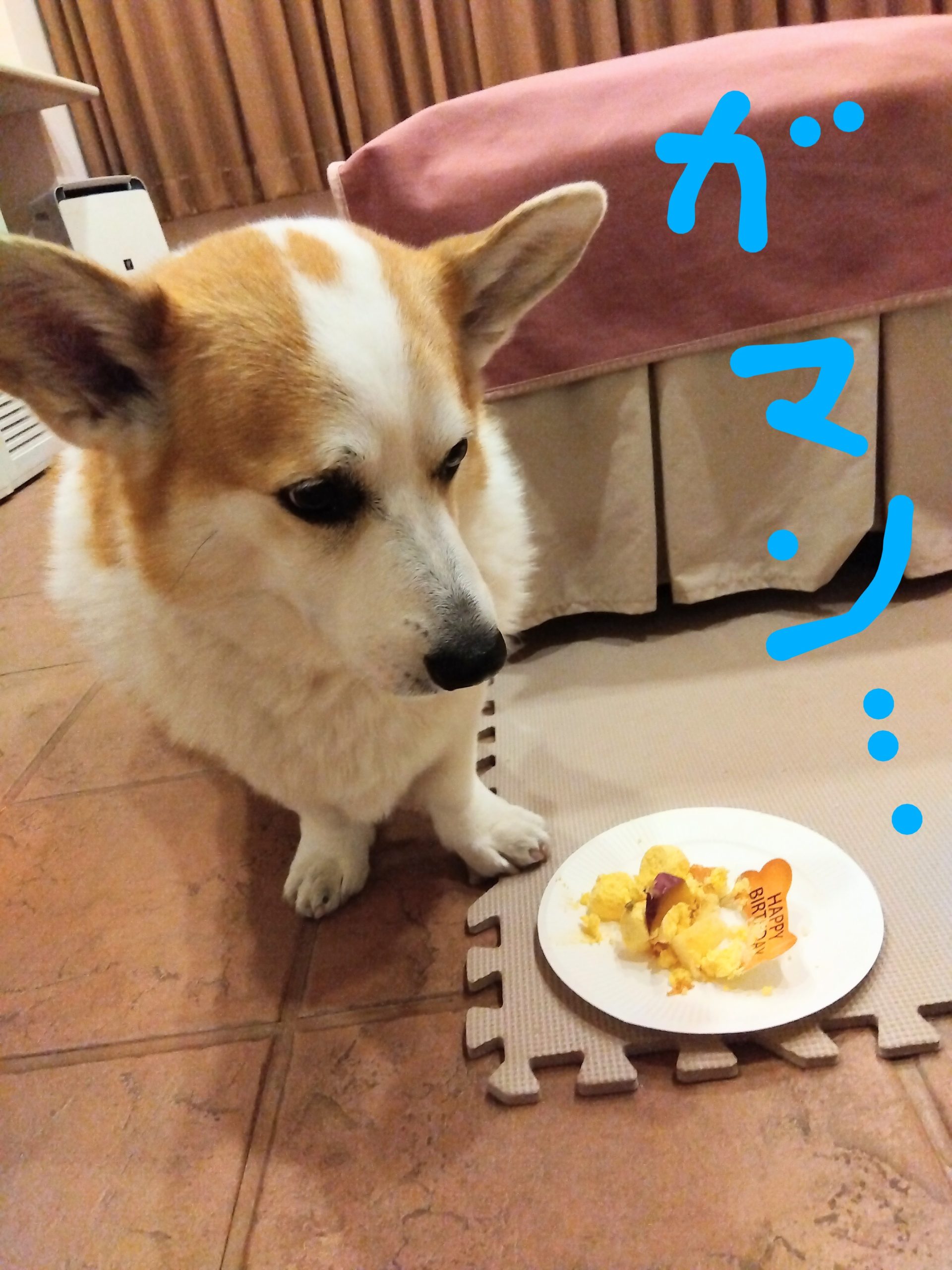 う吉くん♂ う吉くん♂