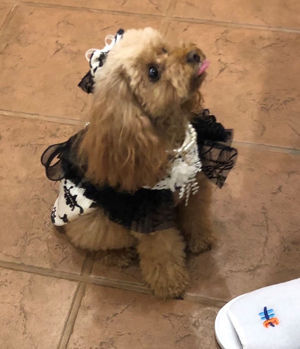 レイナちゃん♀ レイナちゃん♀