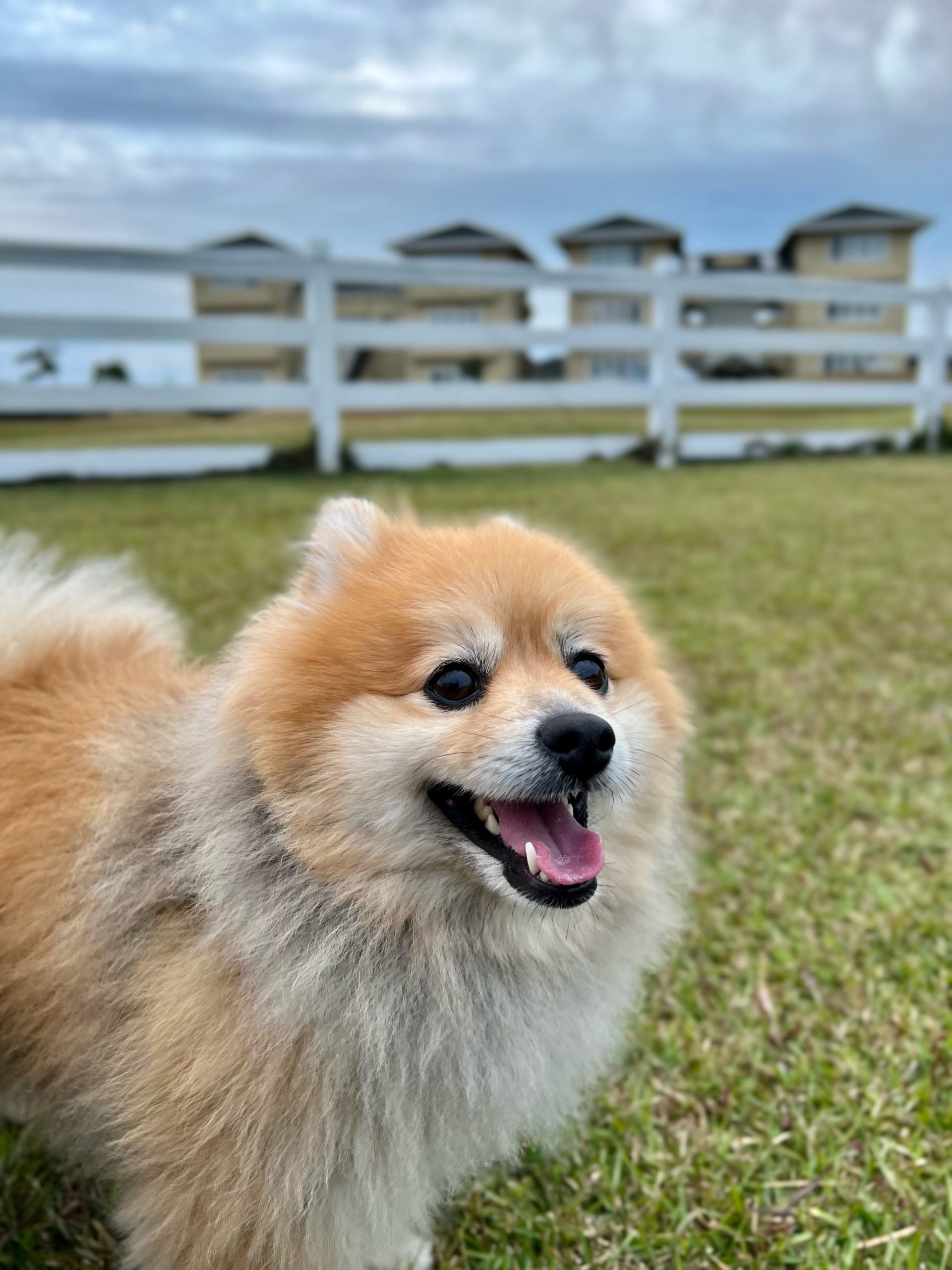 ルイくん♂ ルイくん♂