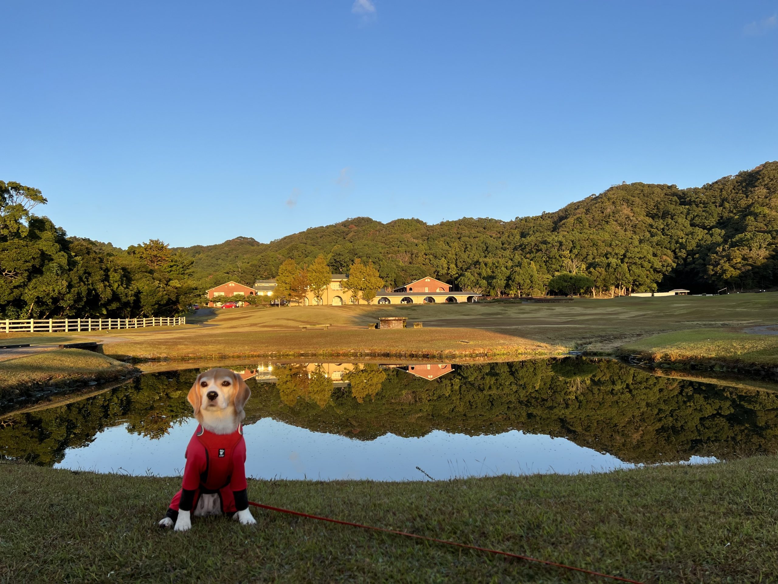 リリ-ちゃん♀ リリ-ちゃん♀