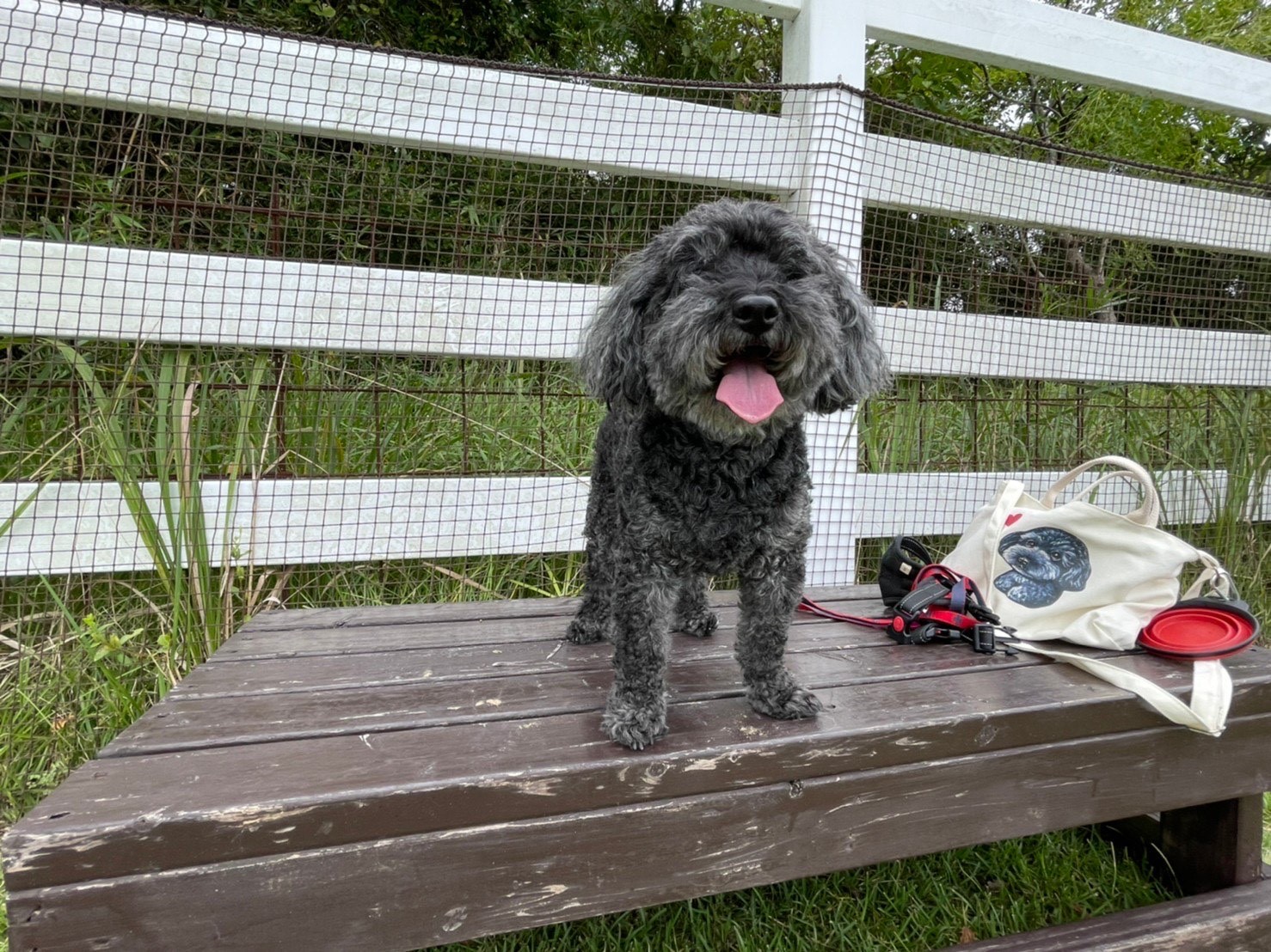 もぐちゃん♀ もぐちゃん♀