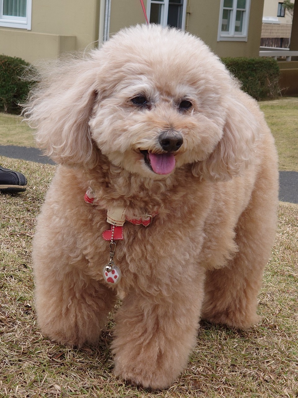 イヴちゃん♀ イヴちゃん♀