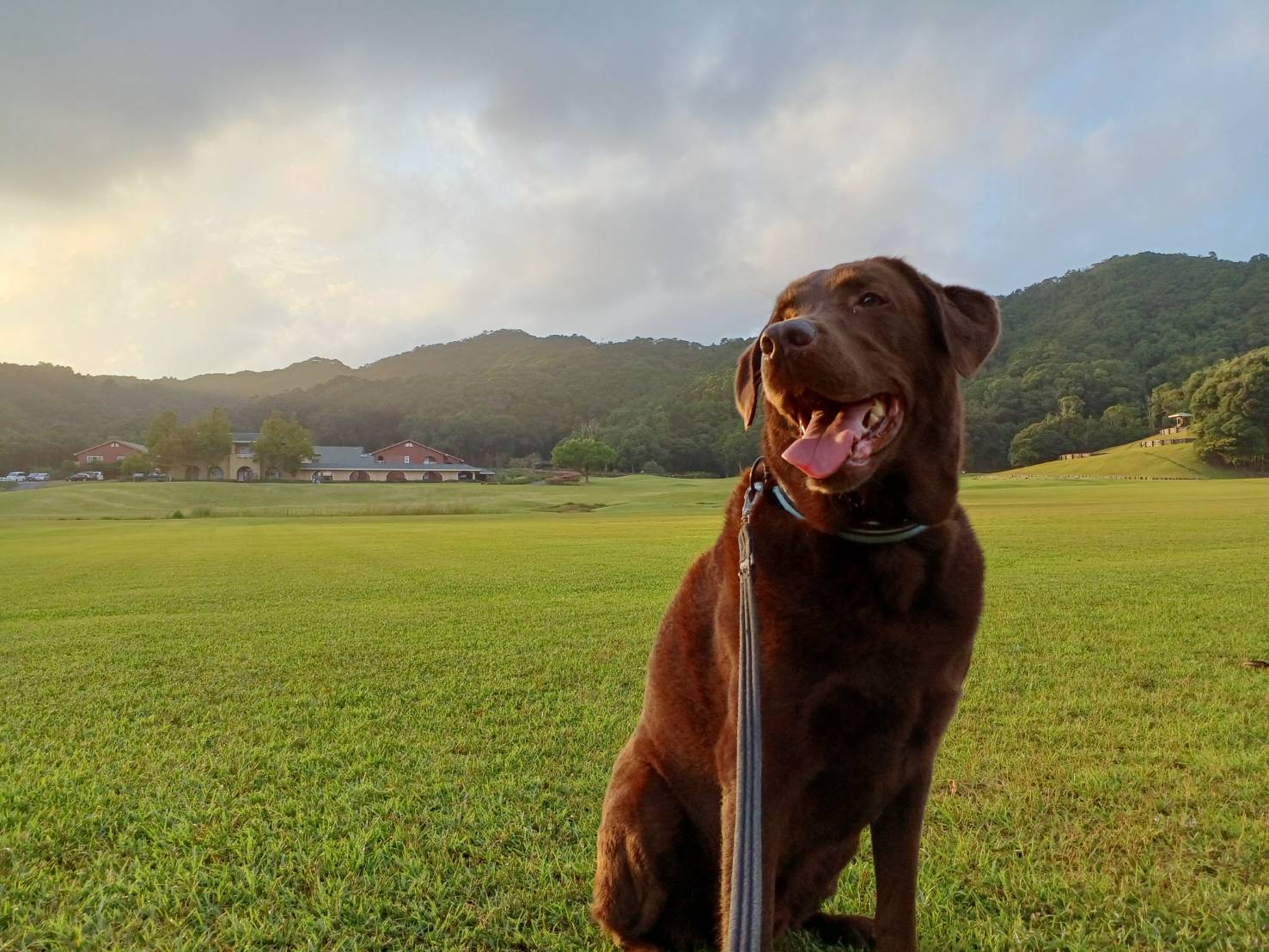 太郎くん♂ 太郎くん♂