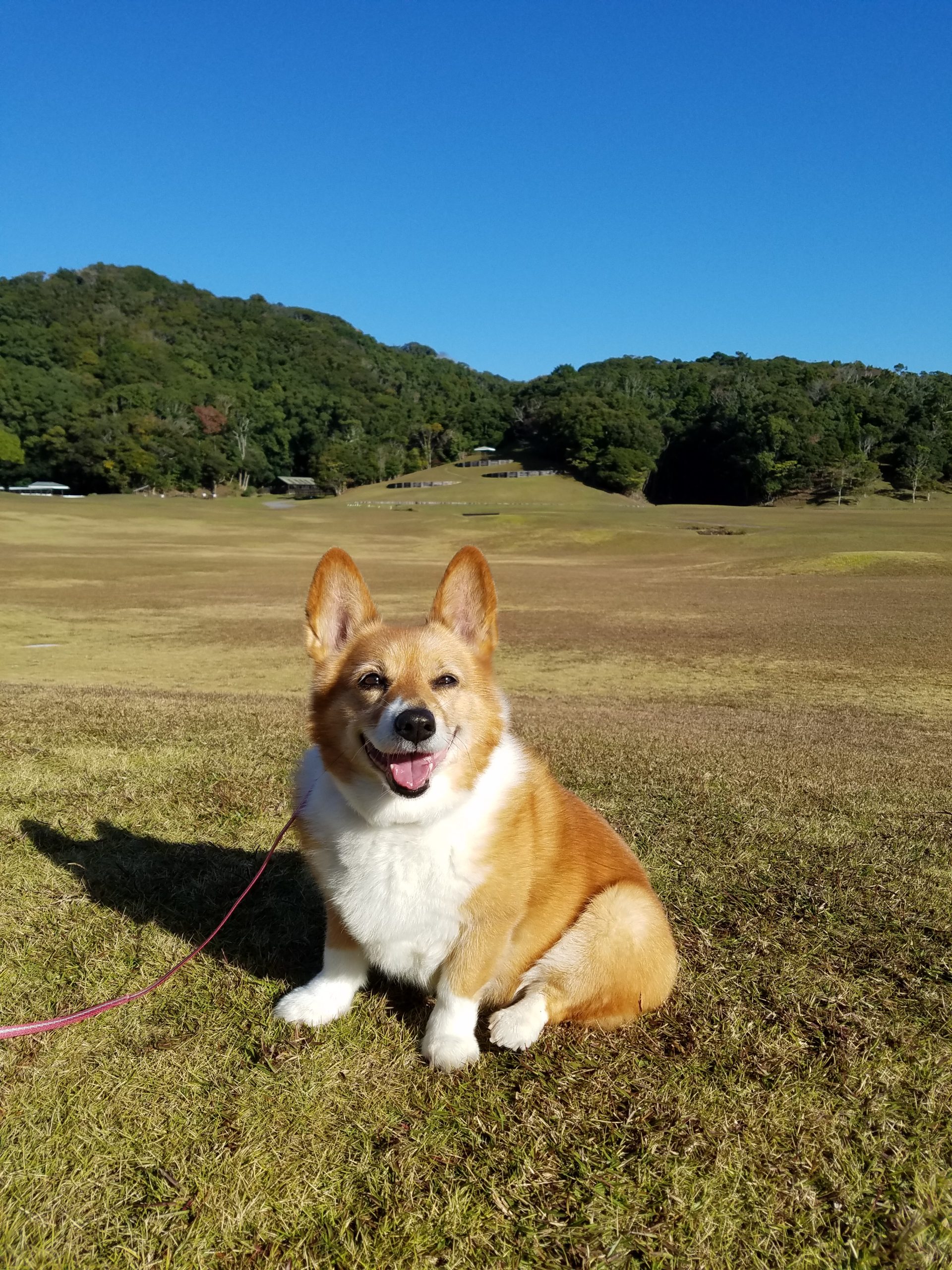 ぷりんちゃん♀ ぷりんちゃん♀