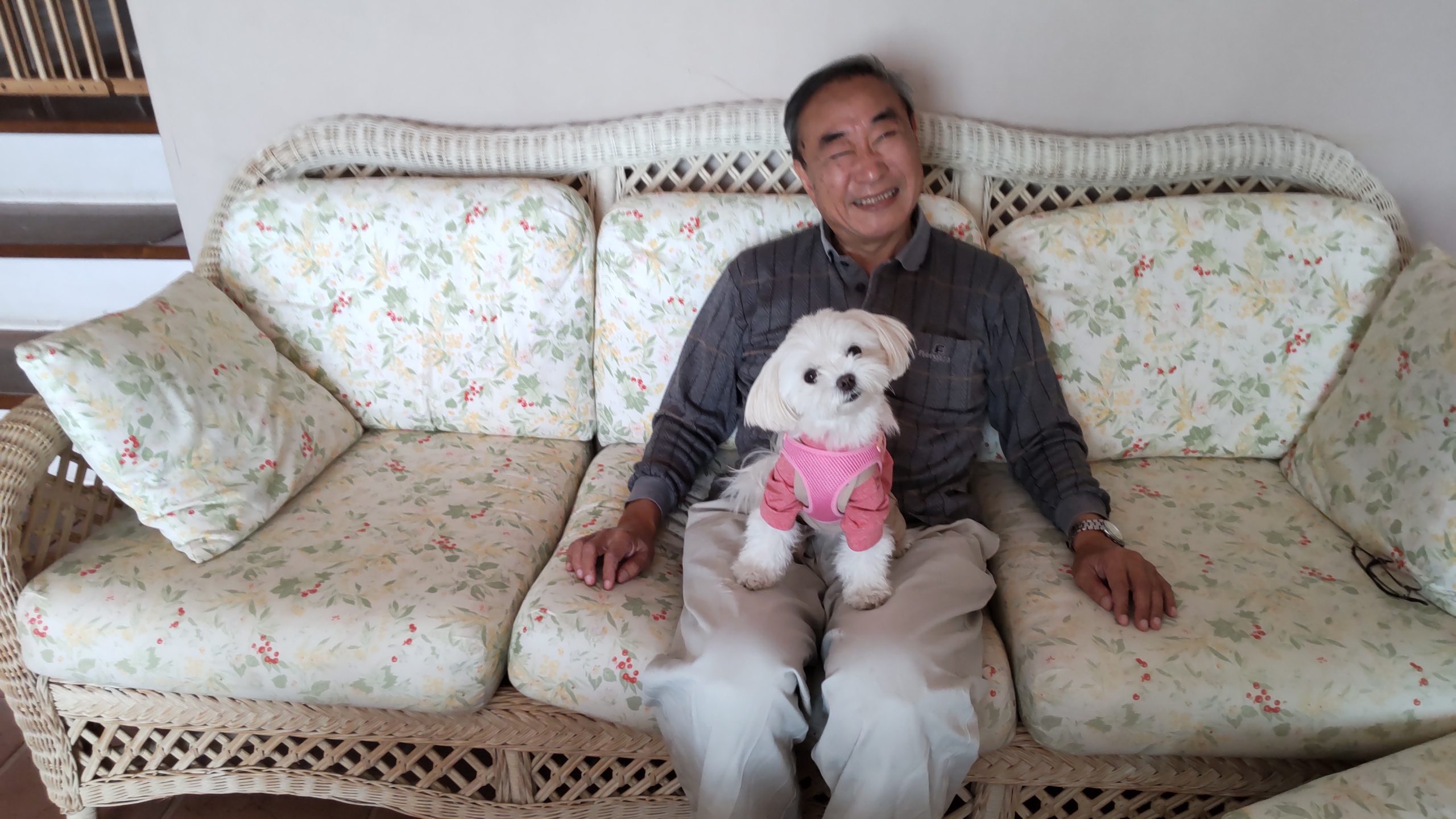 アンジュちゃん♀