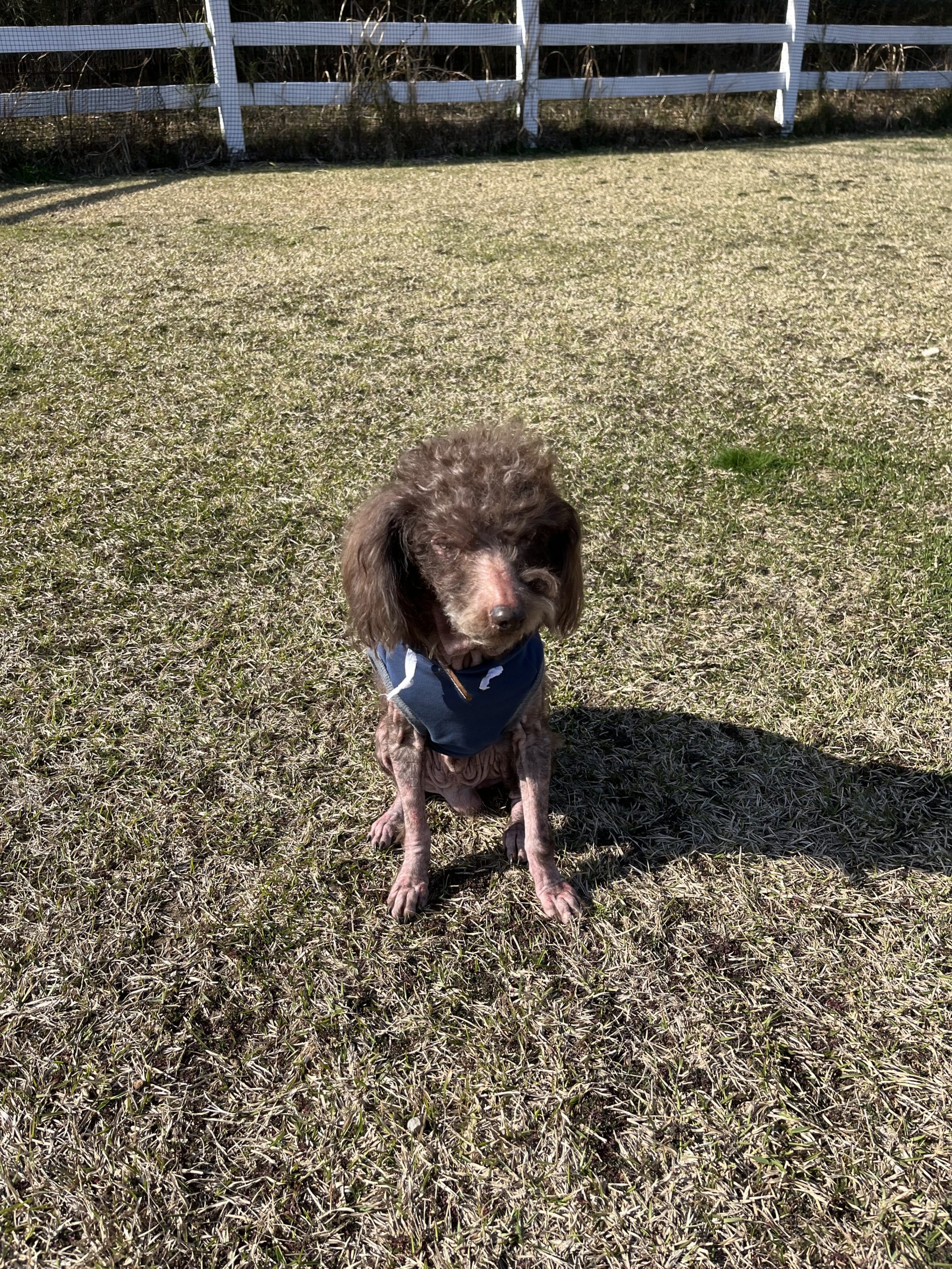 ルカくん♂ ルカくん♂