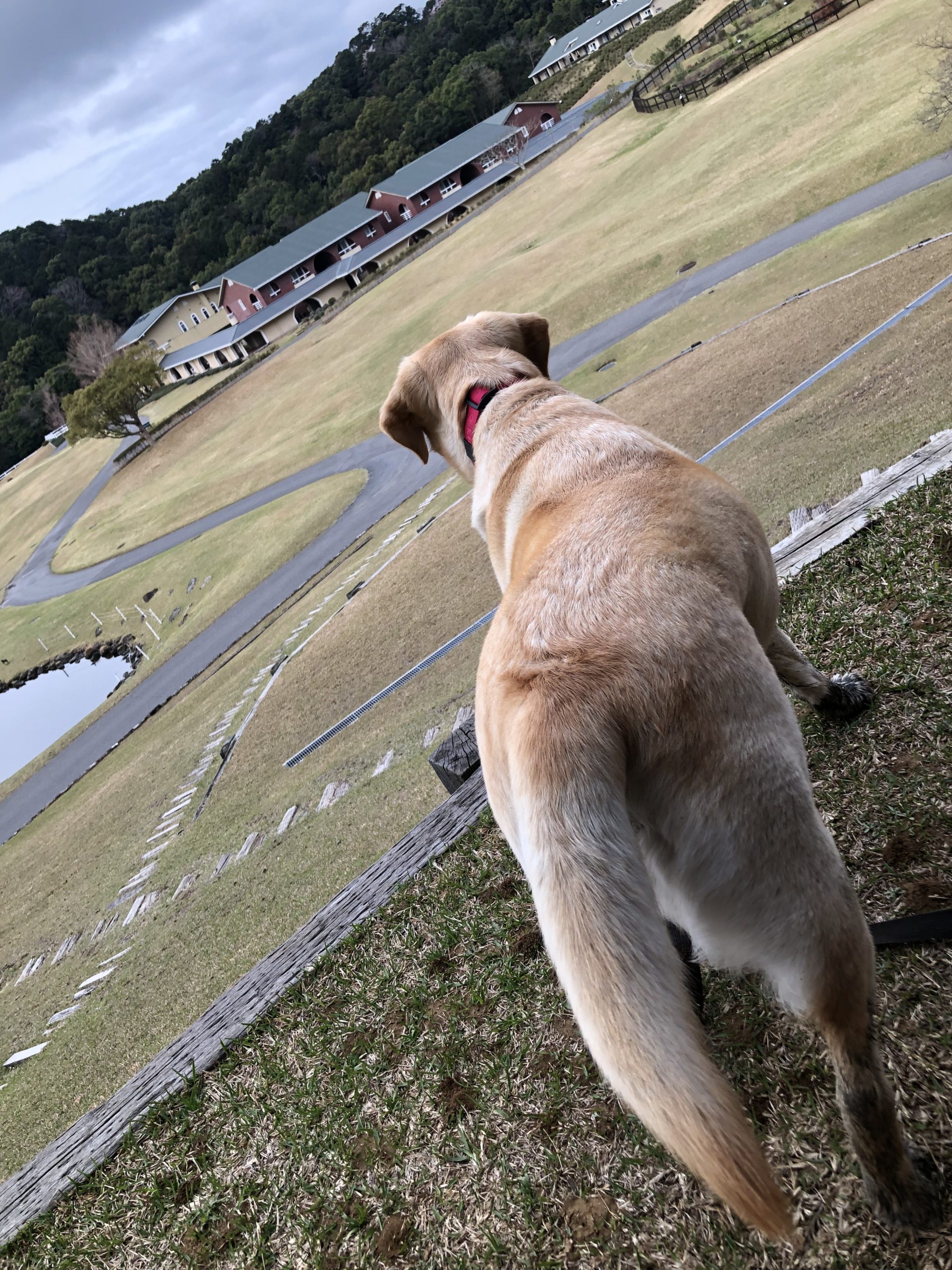 アルちゃん♀ アルちゃん♀