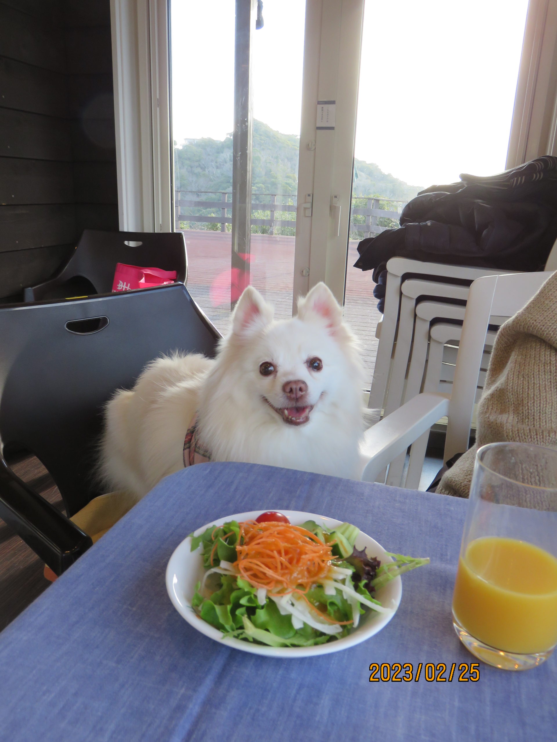 ゆきちゃん♀ ゆきちゃん♀