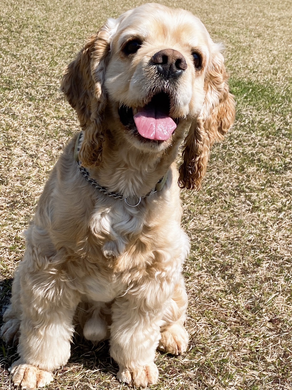 ポポくん♂ ポポくん♂