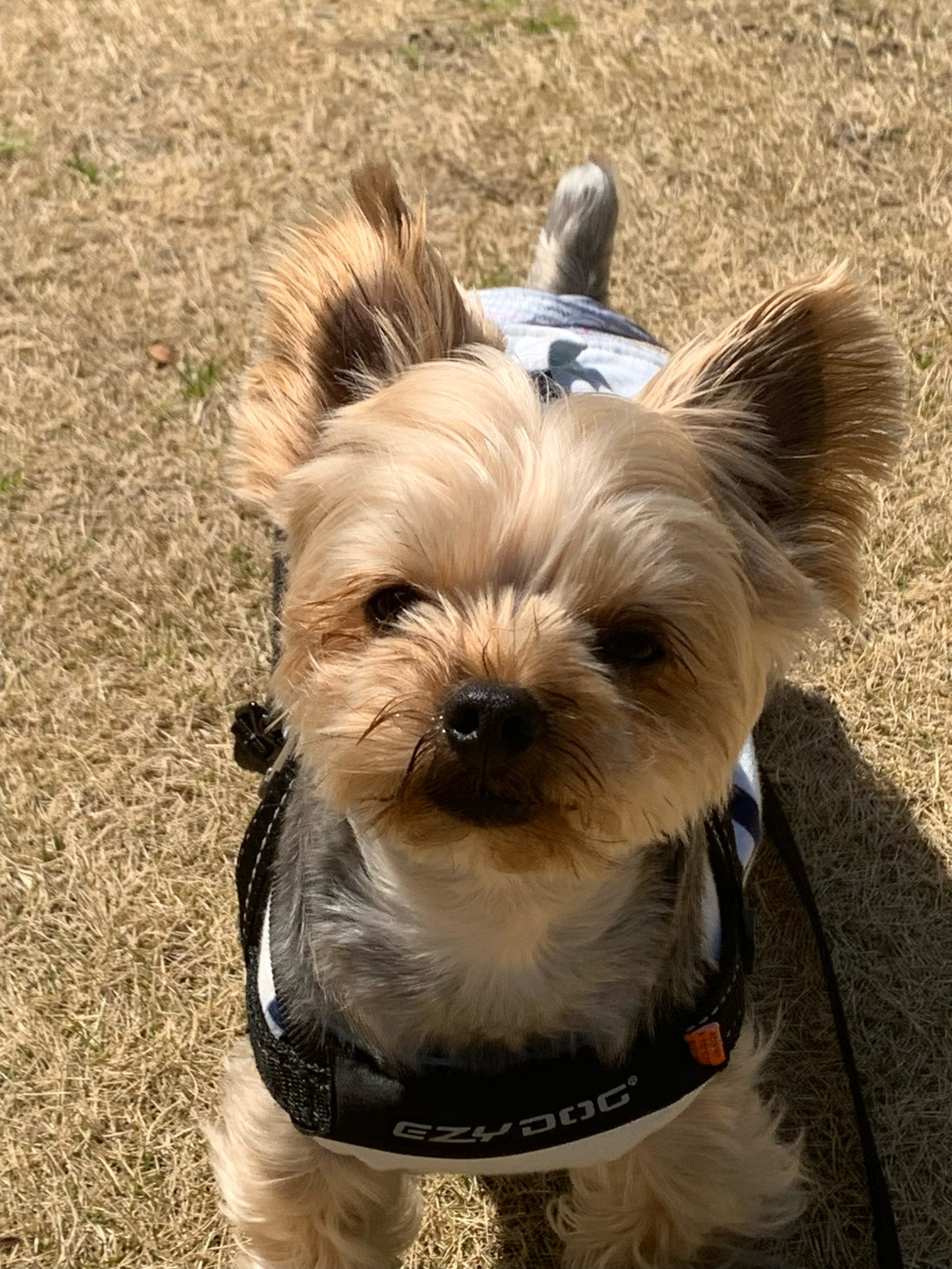 お萩くん♂ お萩くん♂