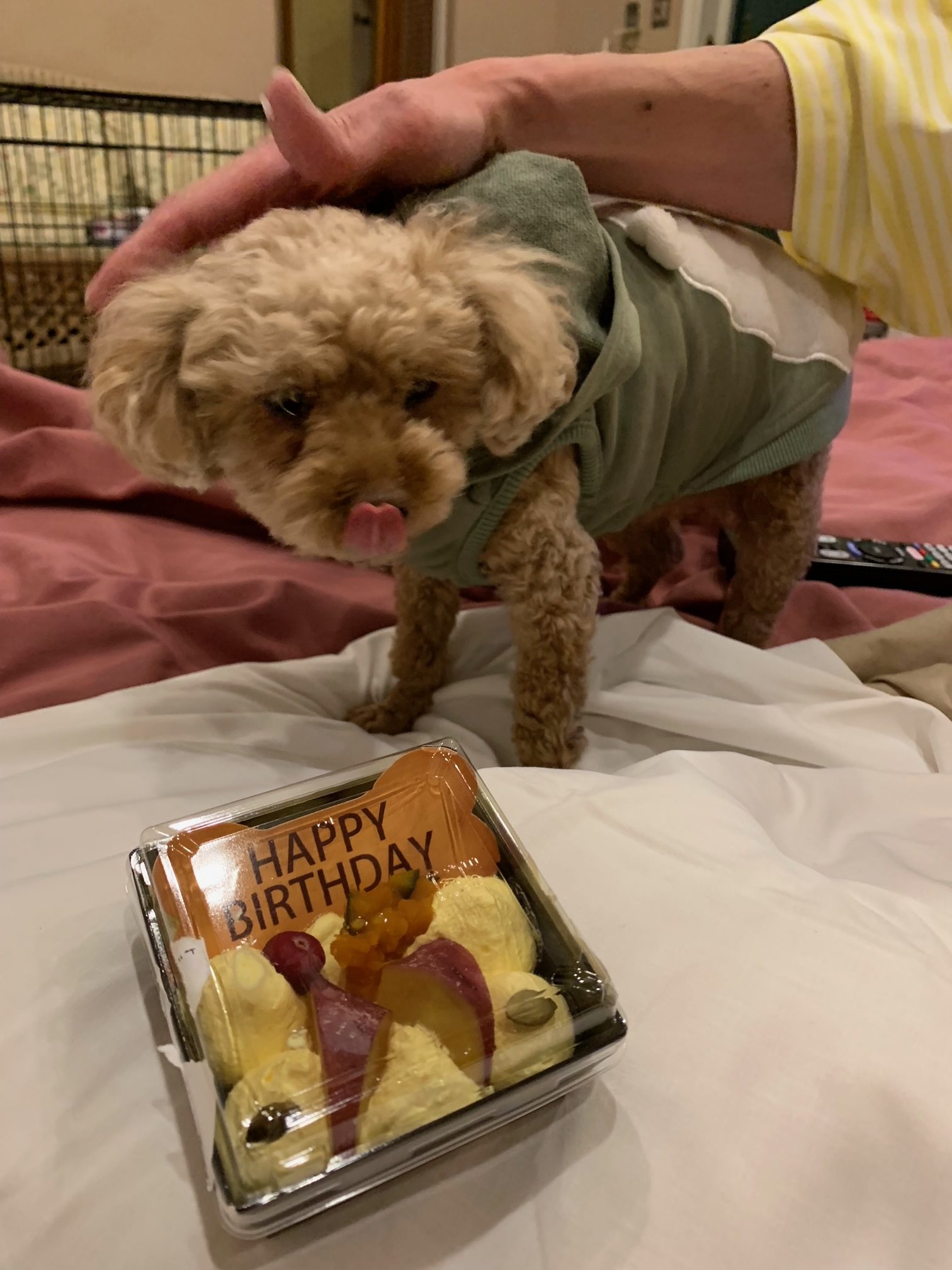 みくちゃん♀ みくちゃん♀