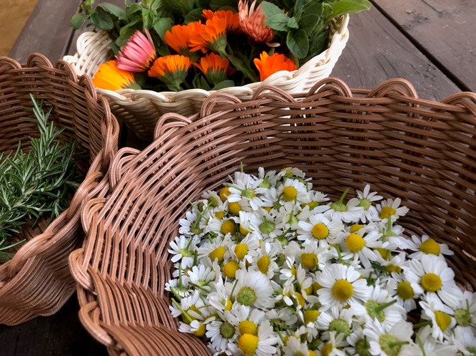 ～　オーシャンテラス横・キッチンガーデンにて　～