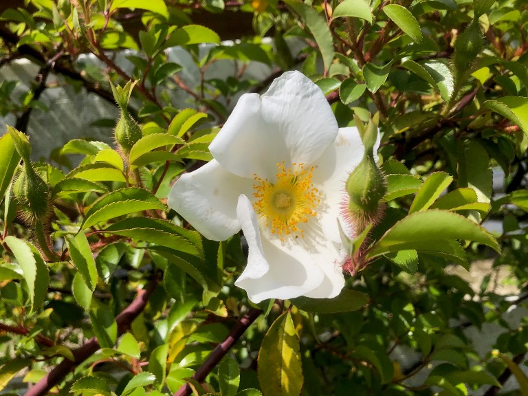 ~ KHTライディングスクエアより ~