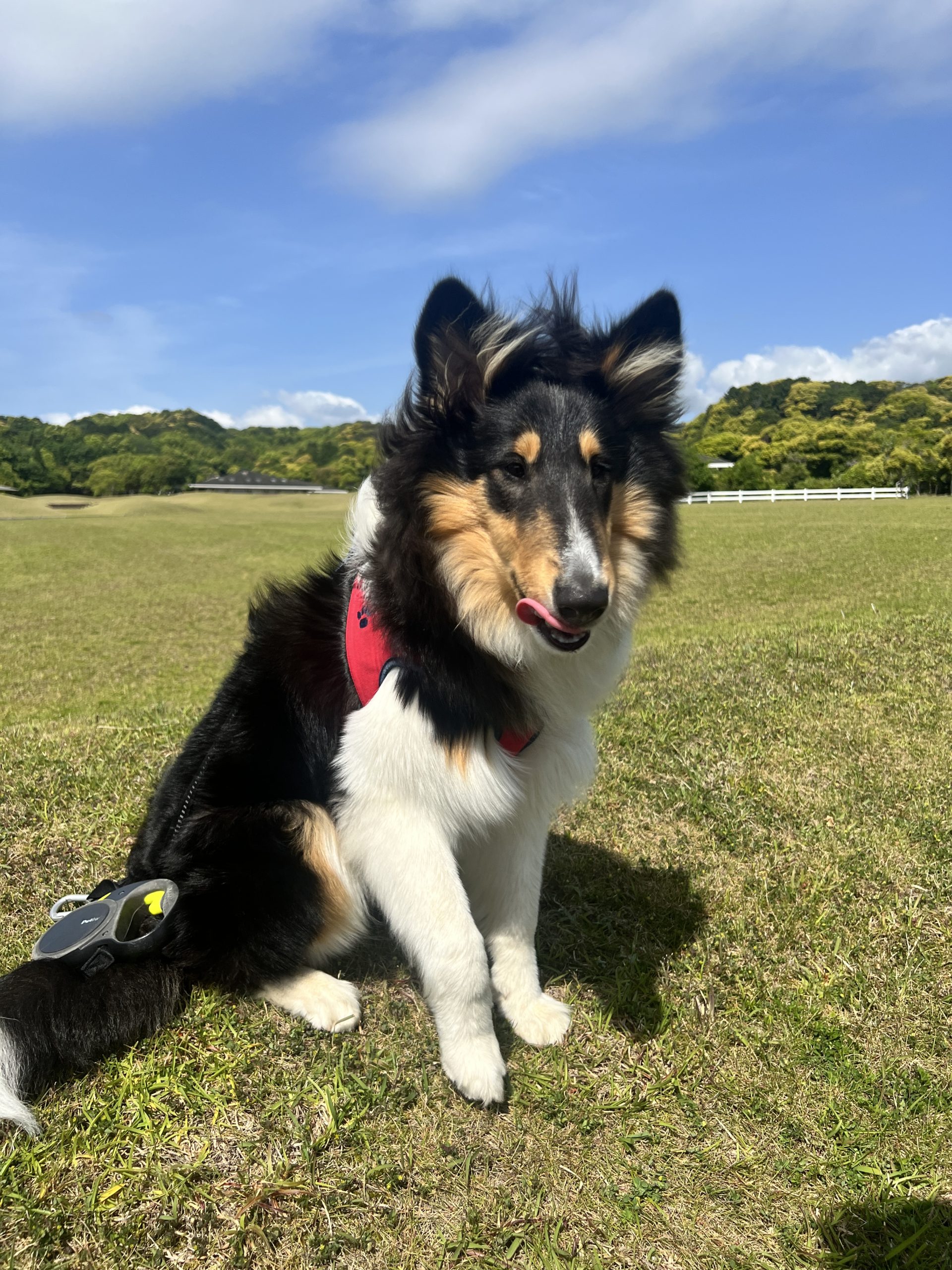 アニ-ちゃん♀ アニ-ちゃん♀