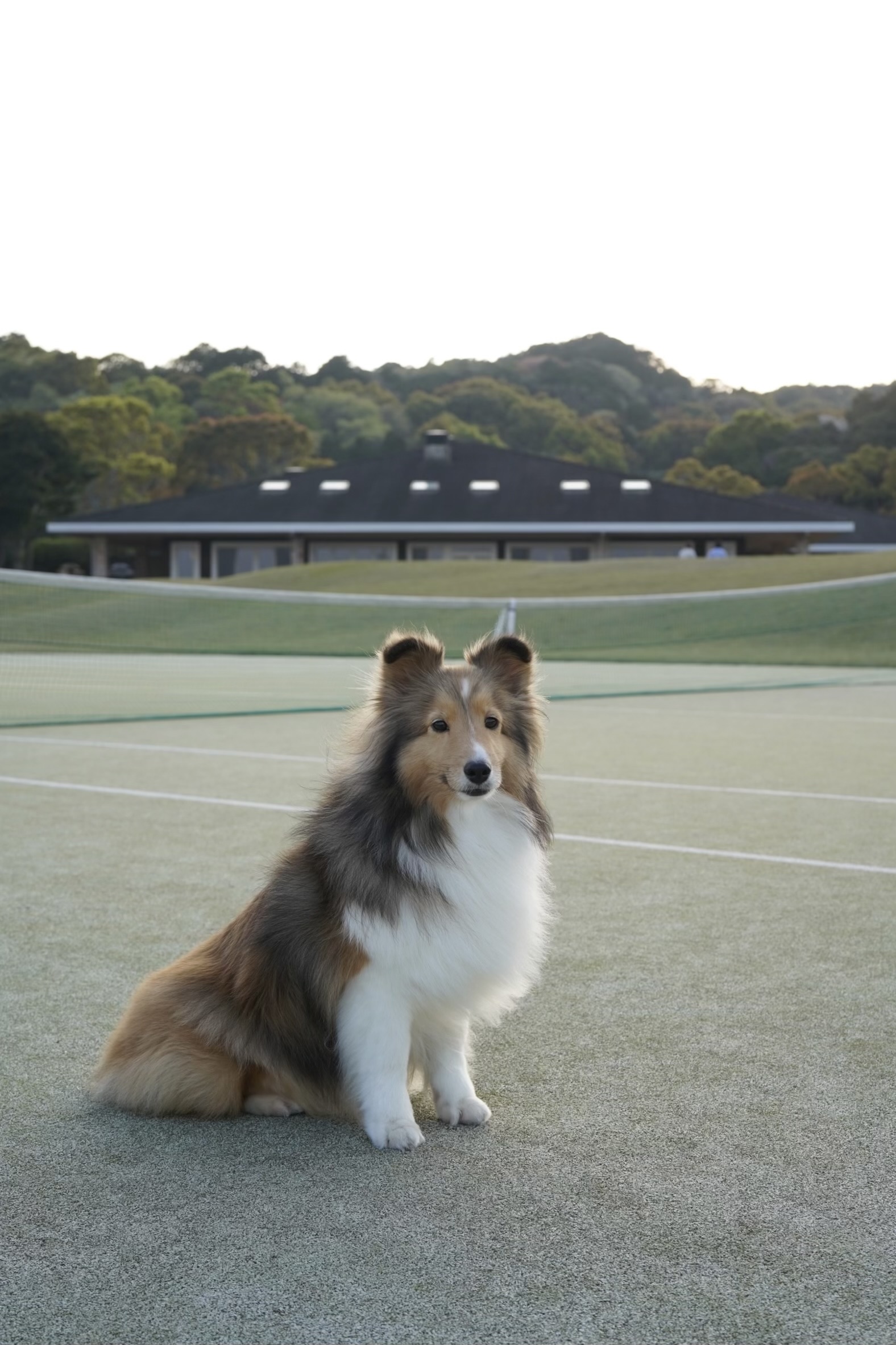 サラちゃん♀ サラちゃん♀