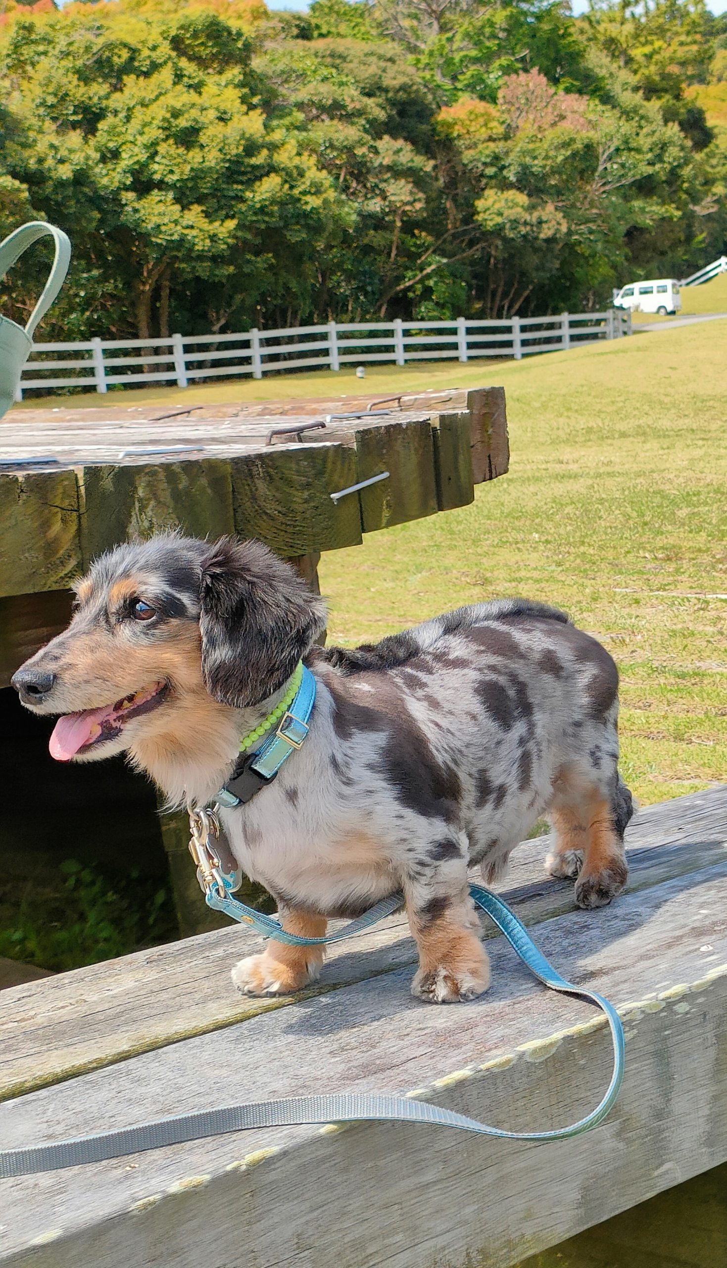 海くん♂ 海くん♂