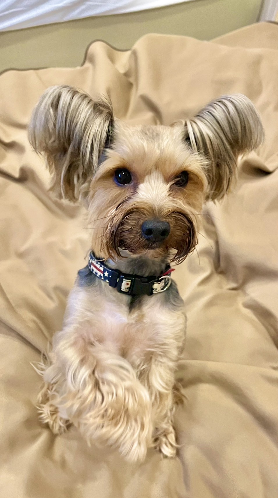 ルンバくん♂ ルンバくん♂