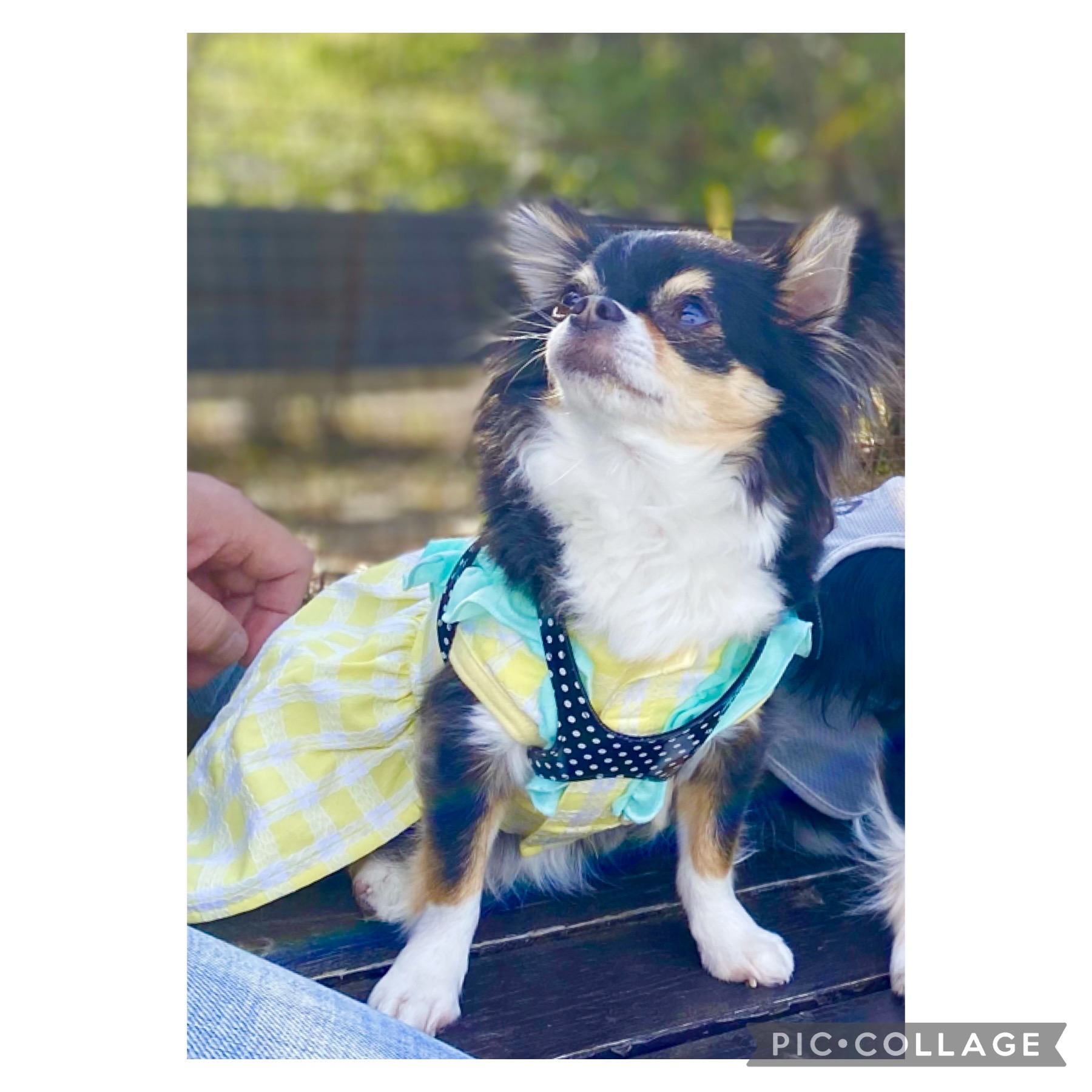 チイちゃん♀ チイちゃん♀