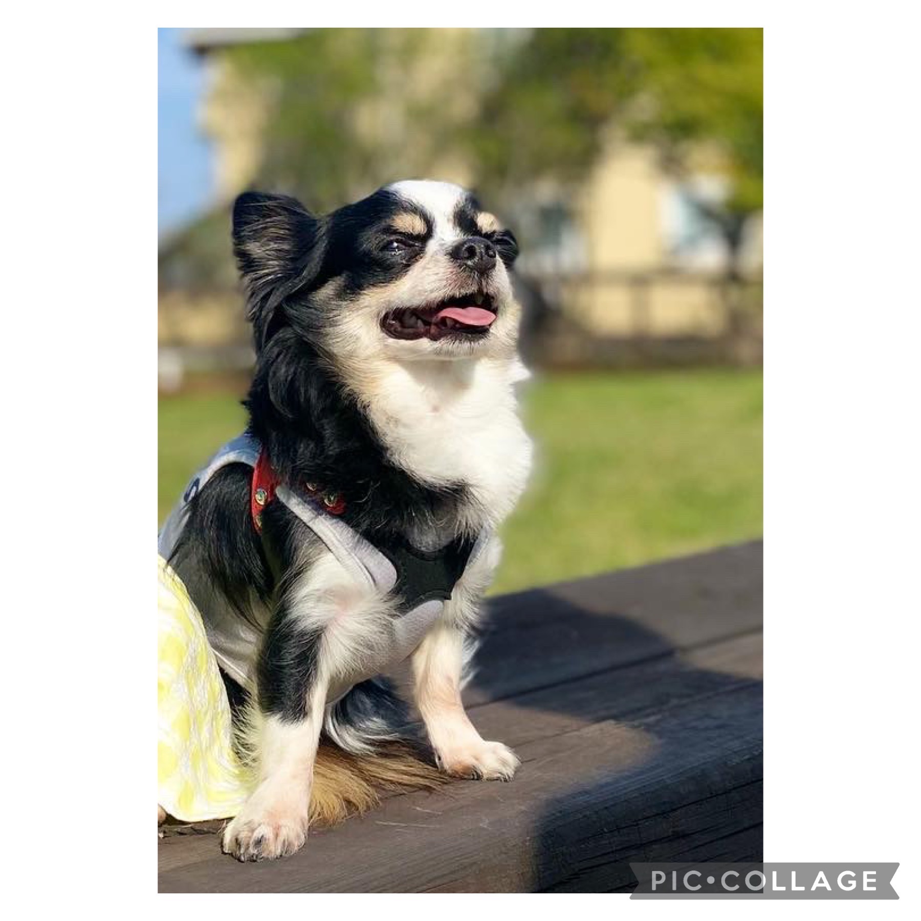 豆くん♂ 豆くん♂