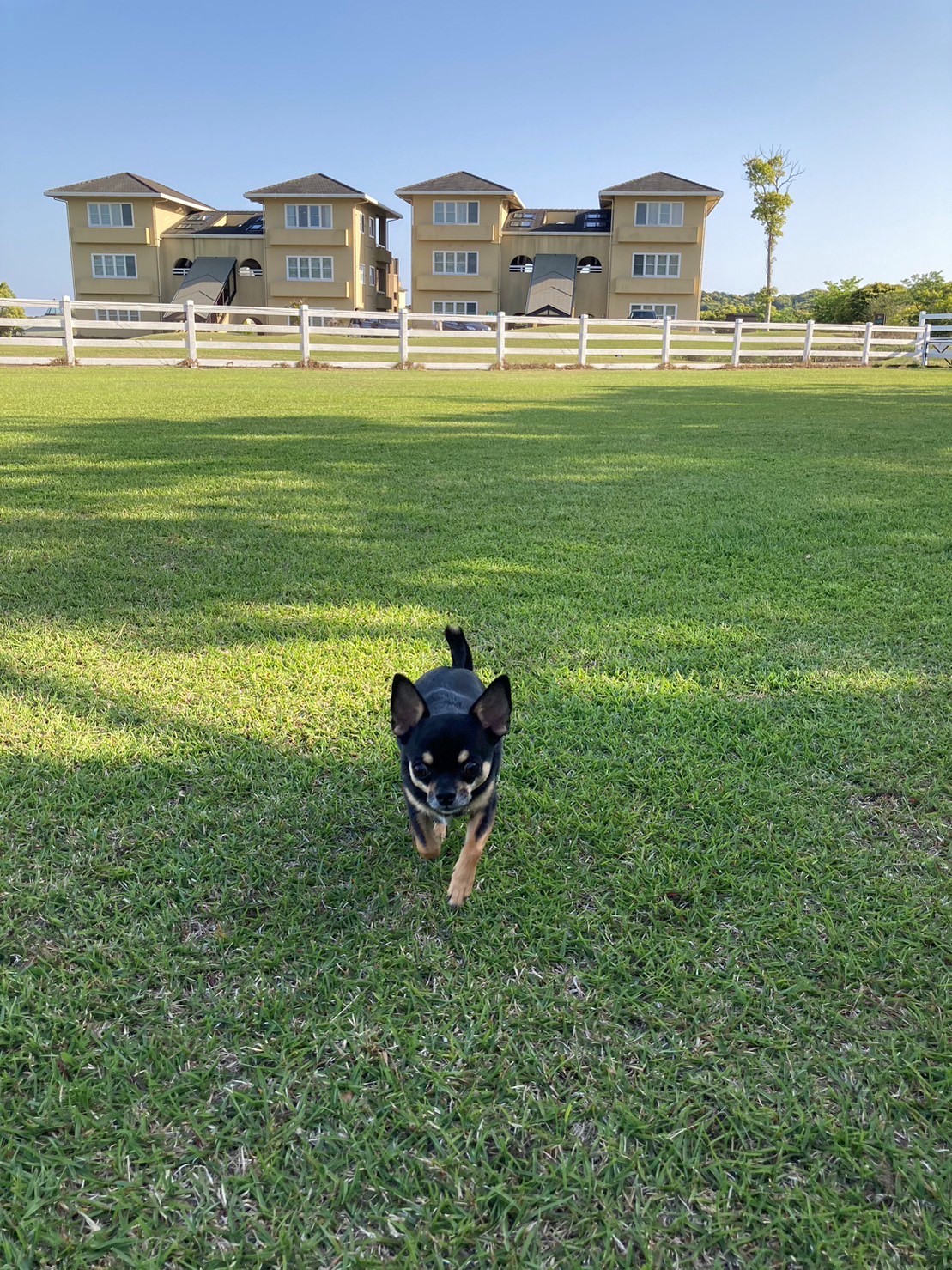 COCOくん♂ COCOくん♂