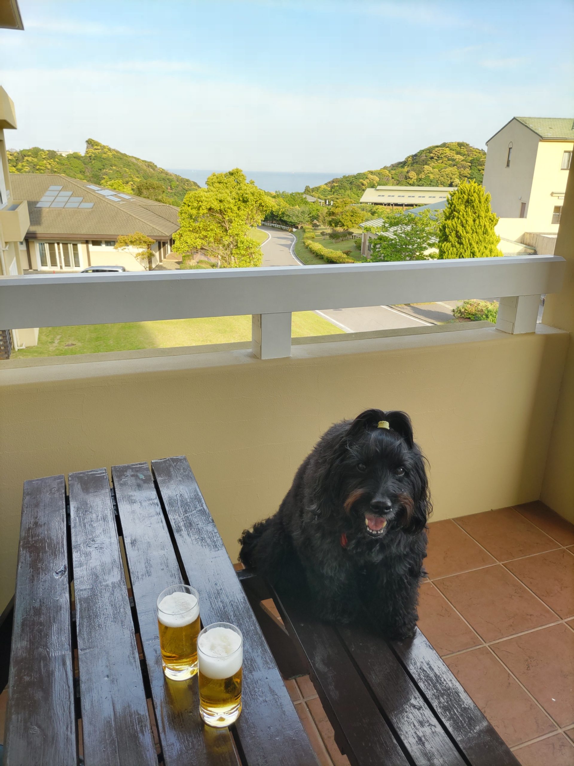 スプリンガ-くん♂ スプリンガ-くん♂