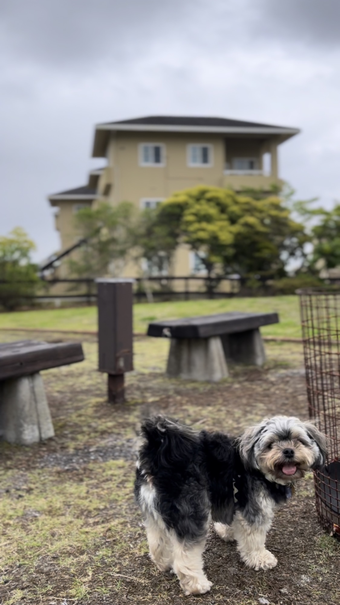さすけくん♂ さすけくん♂