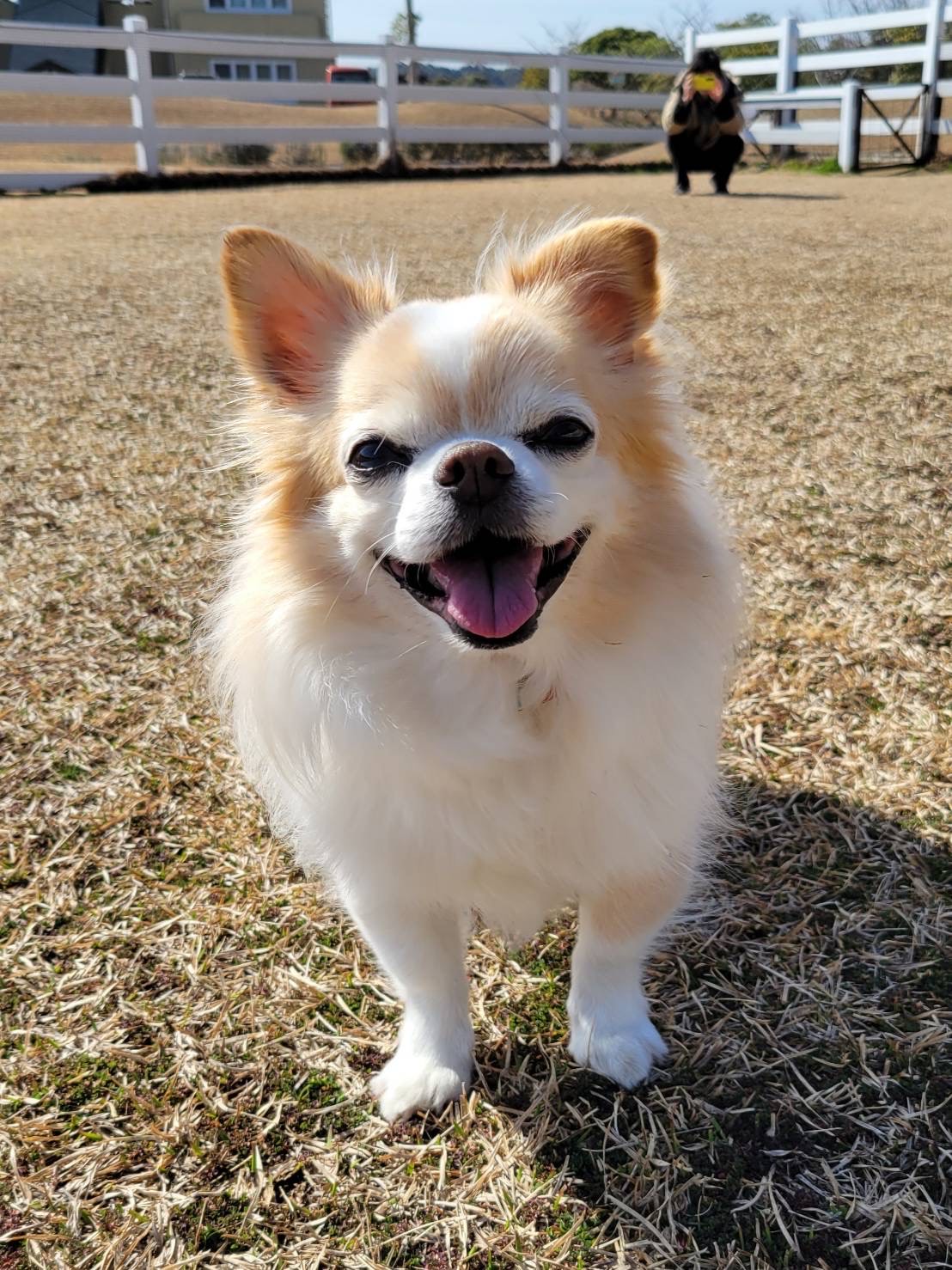 マロンくん♂ マロンくん♂