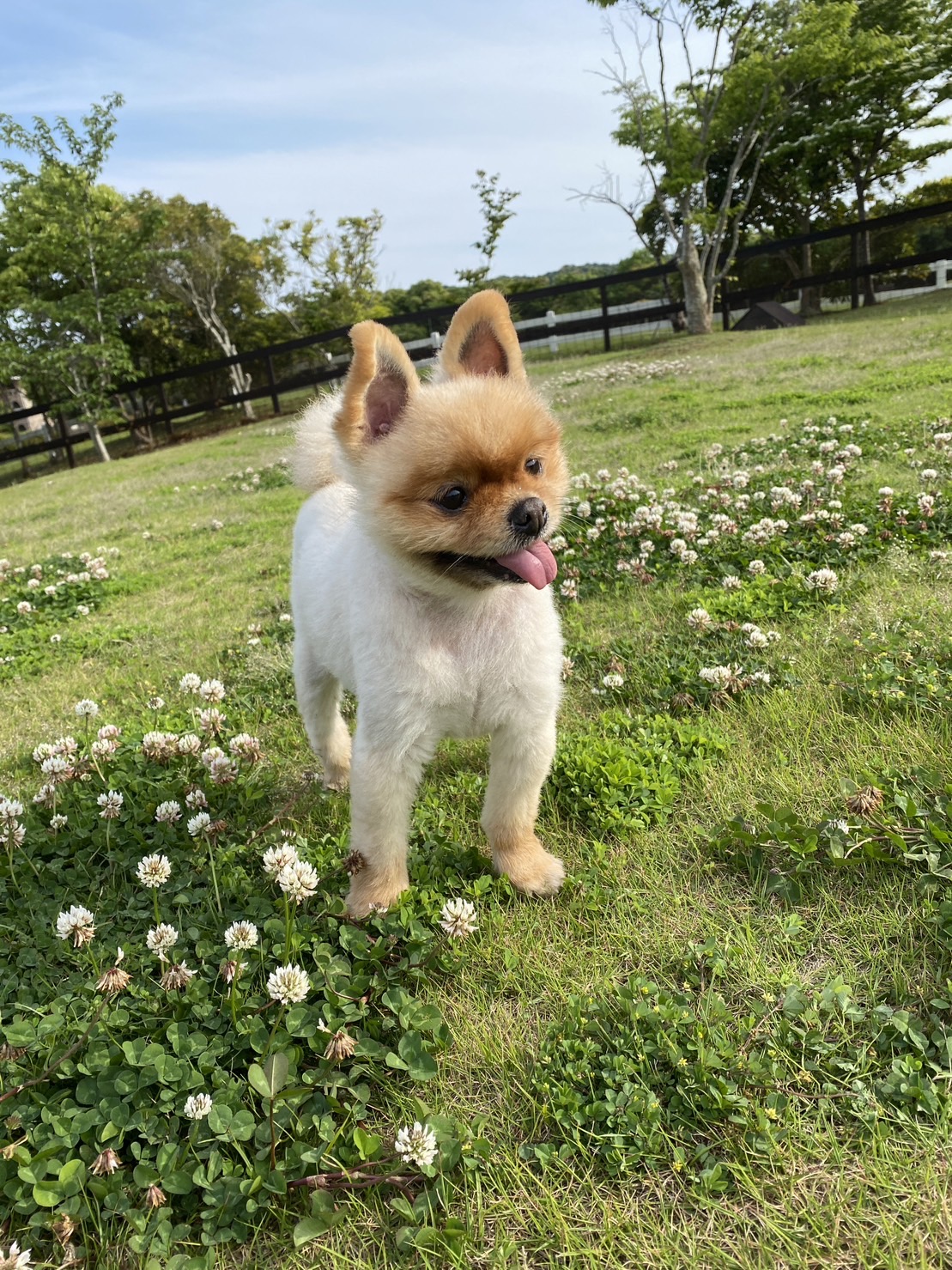 ふうたくん♂ ふうたくん♂