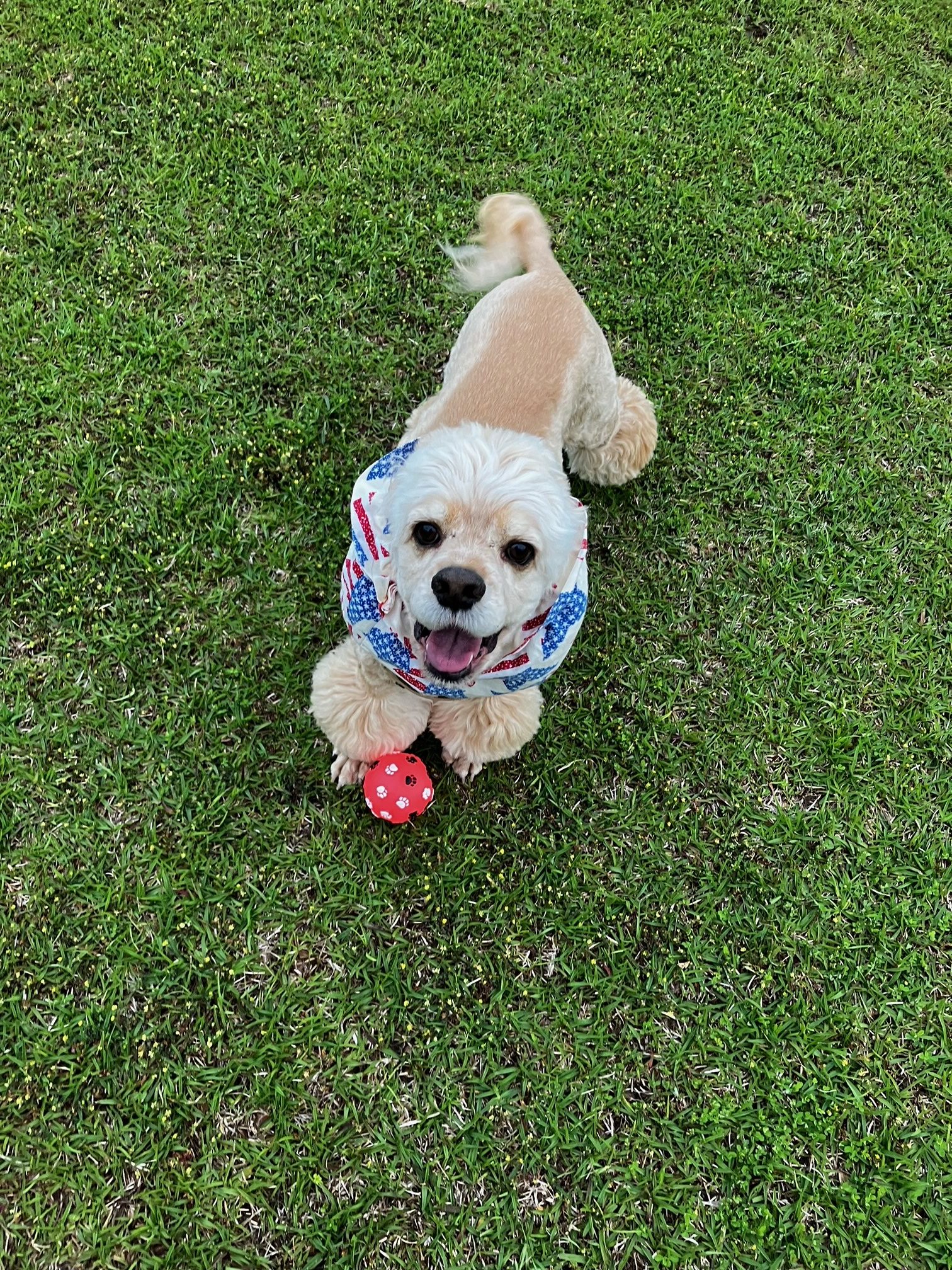 チュロくん♂ チュロくん♂