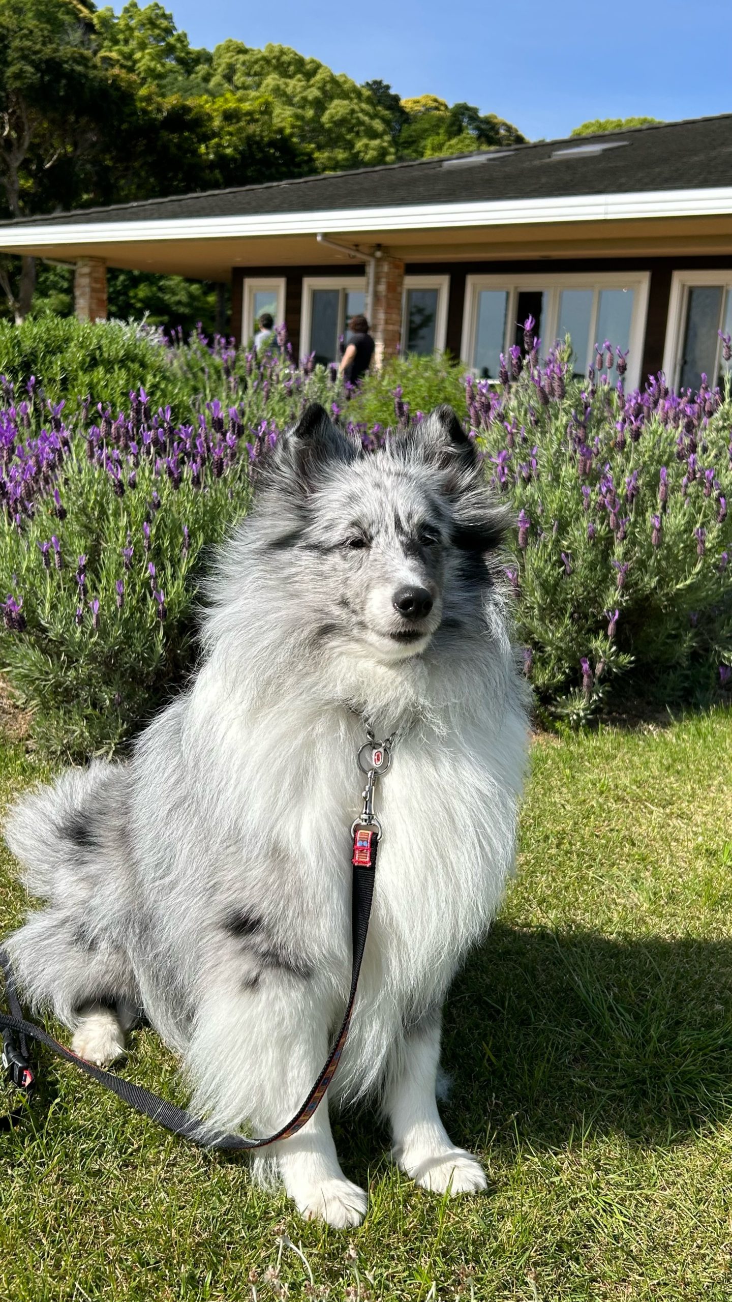 ゆずちゃん♀ ゆずちゃん♀