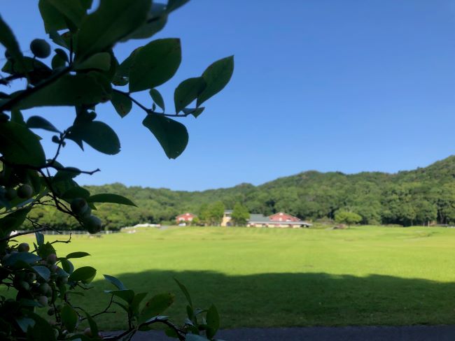 ~ ノースヒル・ブルーベリー畑からの景色 ~