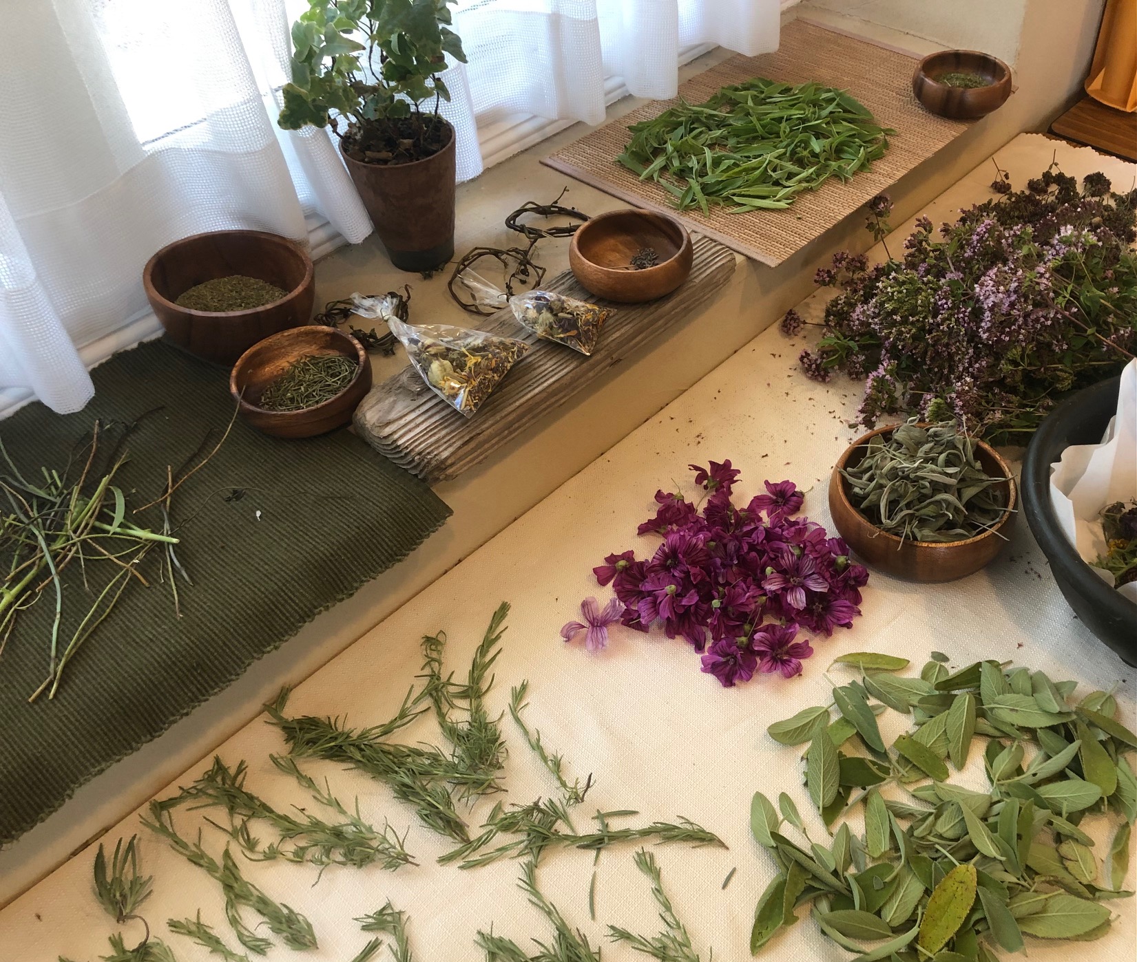 ~ ポプリ用のハーブを収穫しました ~