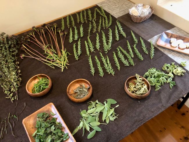 ～　収穫したハーブたち　～