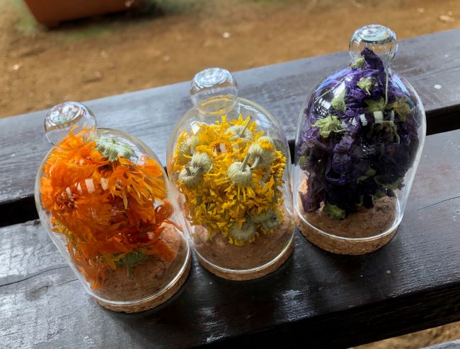 ～　レストランに飾るドライハーブ・ボトルです　～