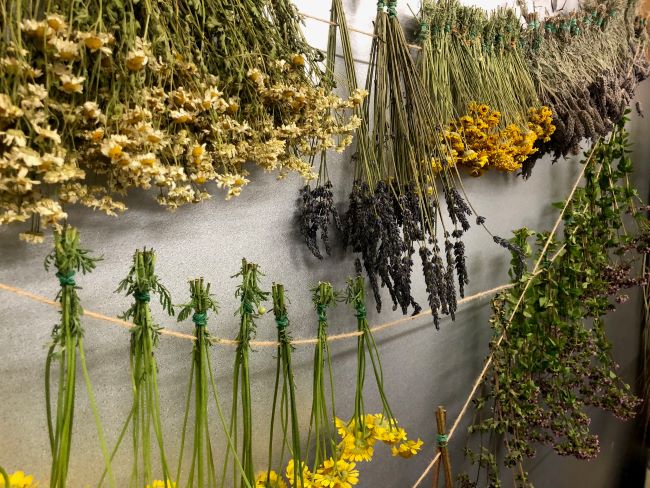 ～　ハーブ乾燥室より　～