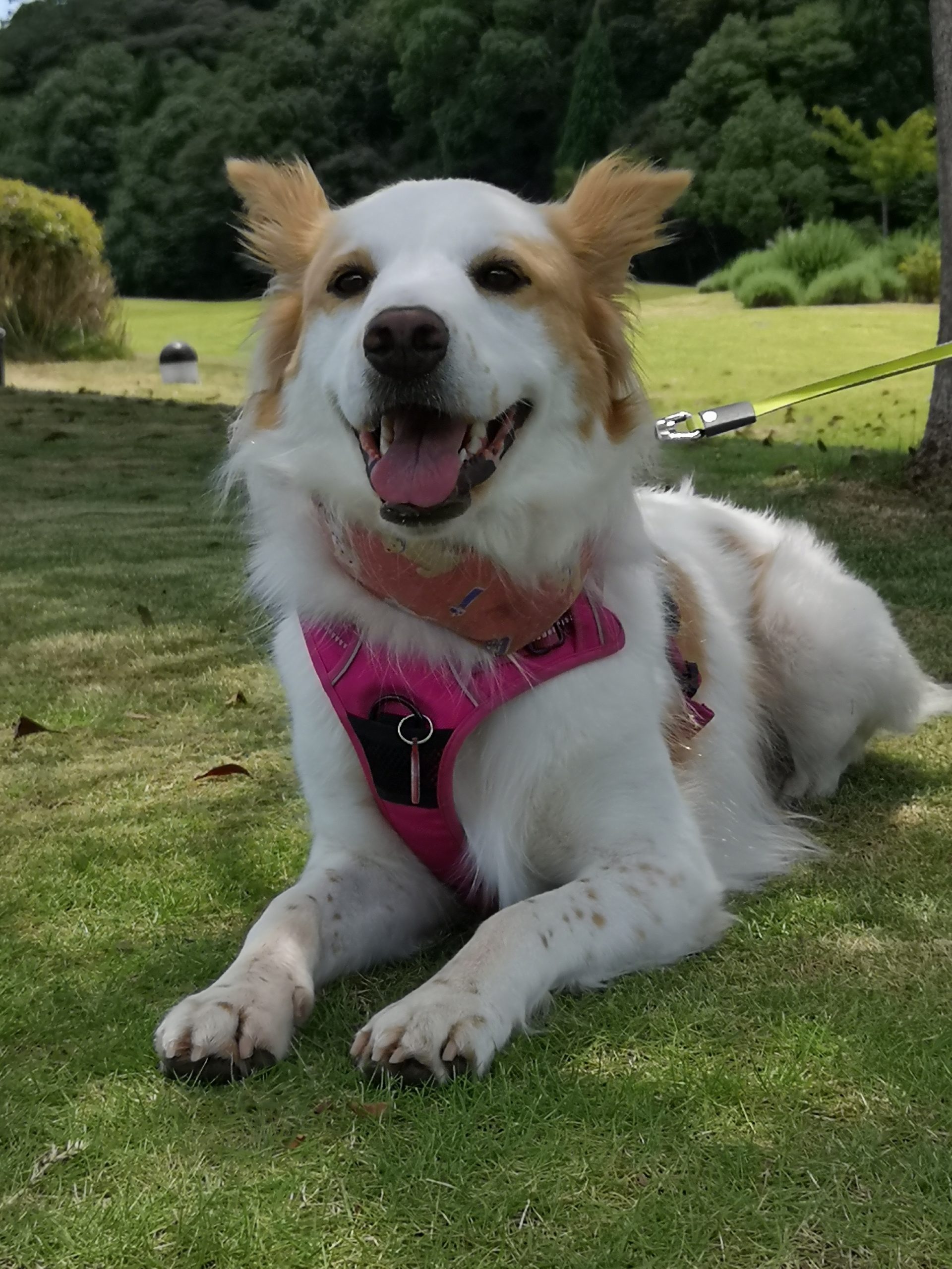 マリリンちゃん　♀