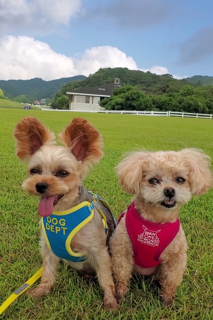 タローくん♂　＆　マァルちゃん♀