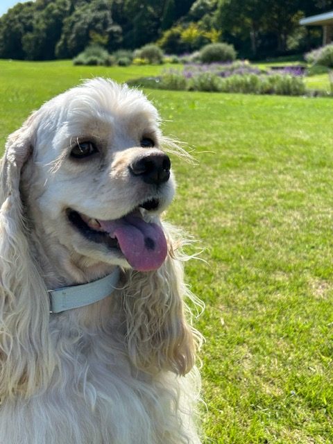 レオンくん ♂ レオンくん ♂