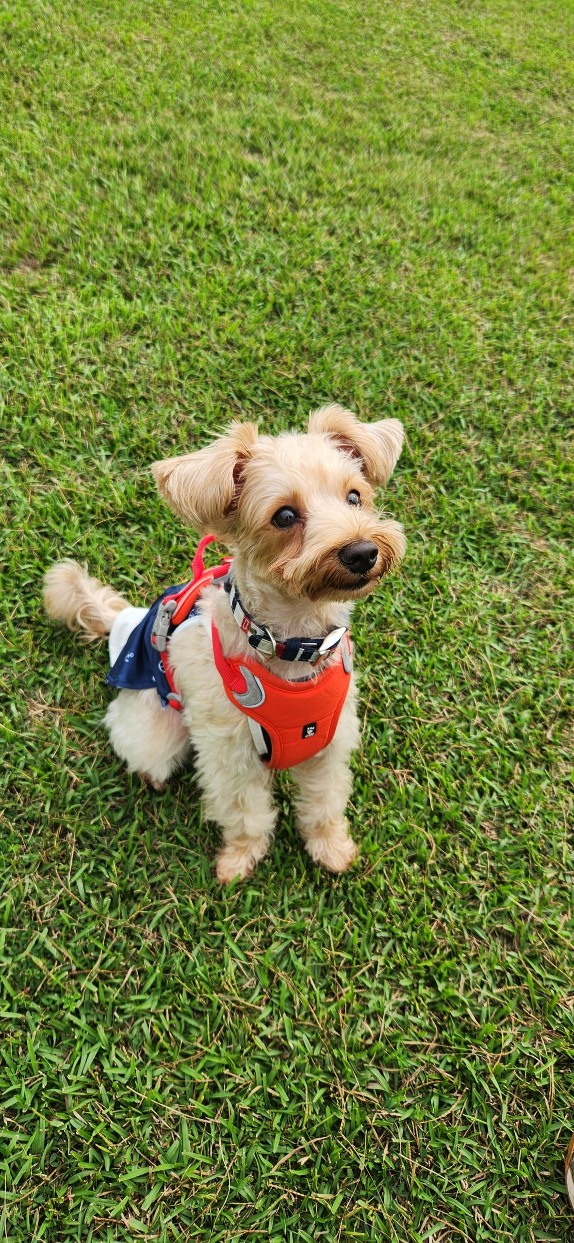 ニコちゃん ♀ ニコちゃん ♀